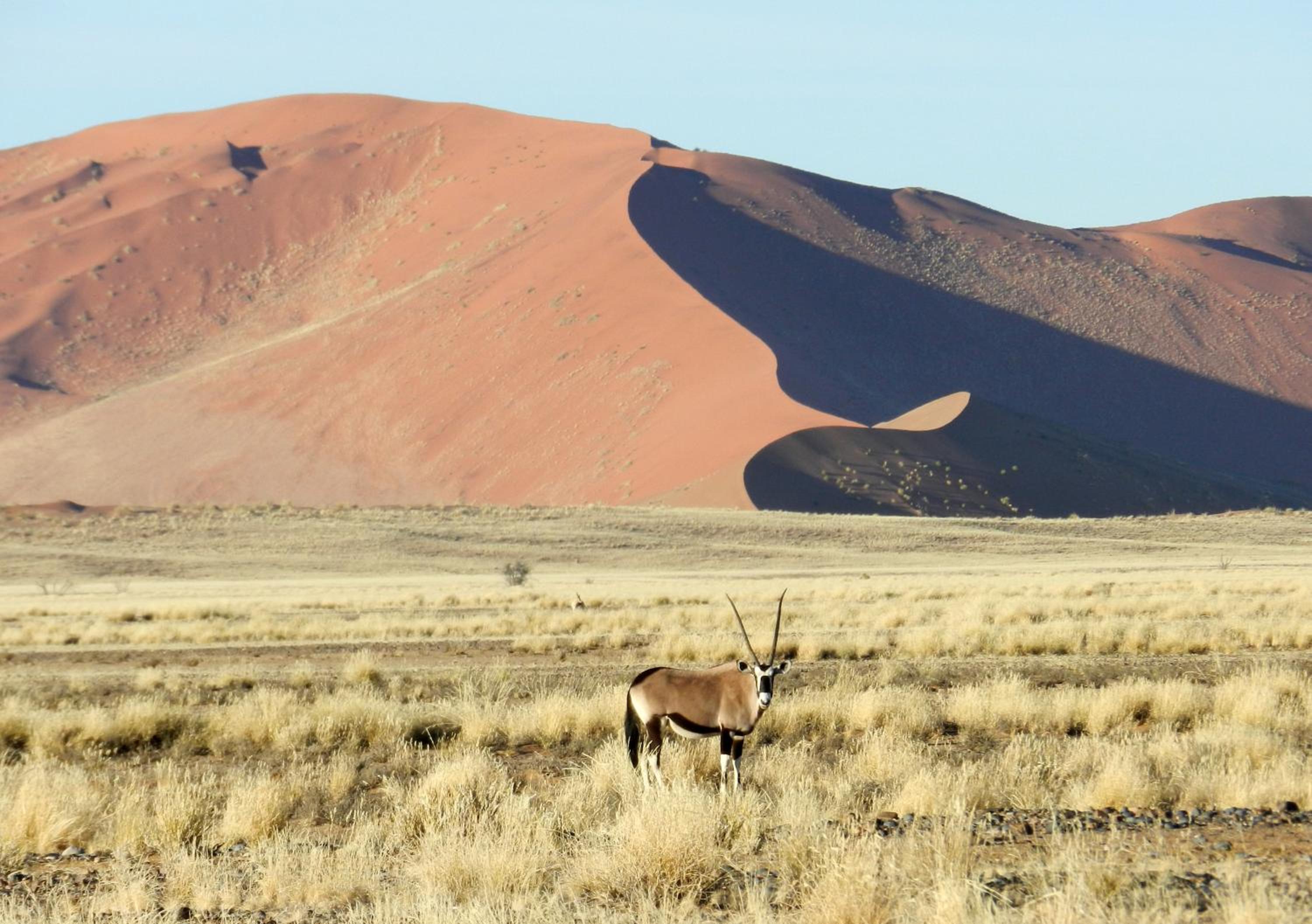 Sossusvlei Lodge