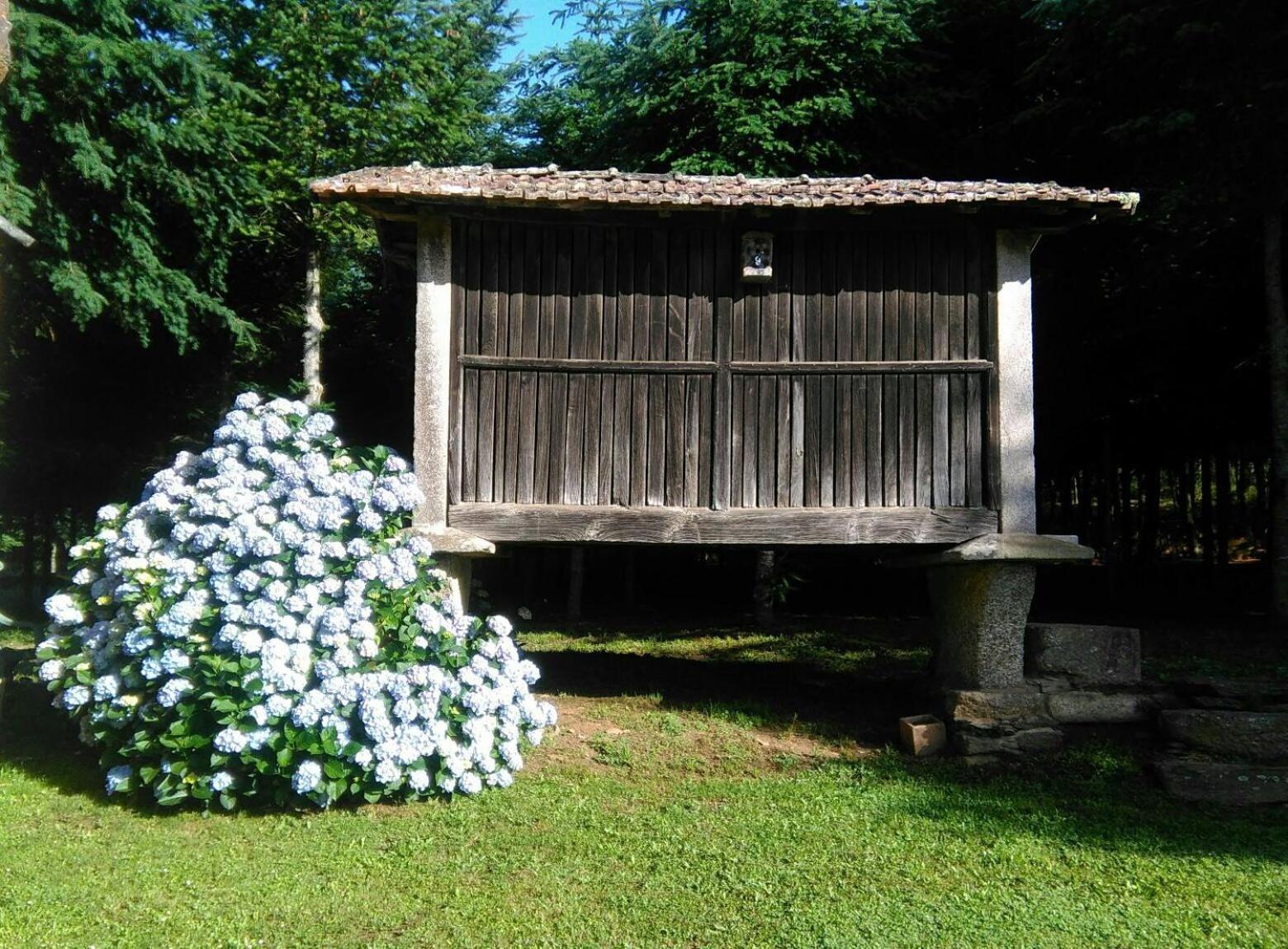 Photo 27