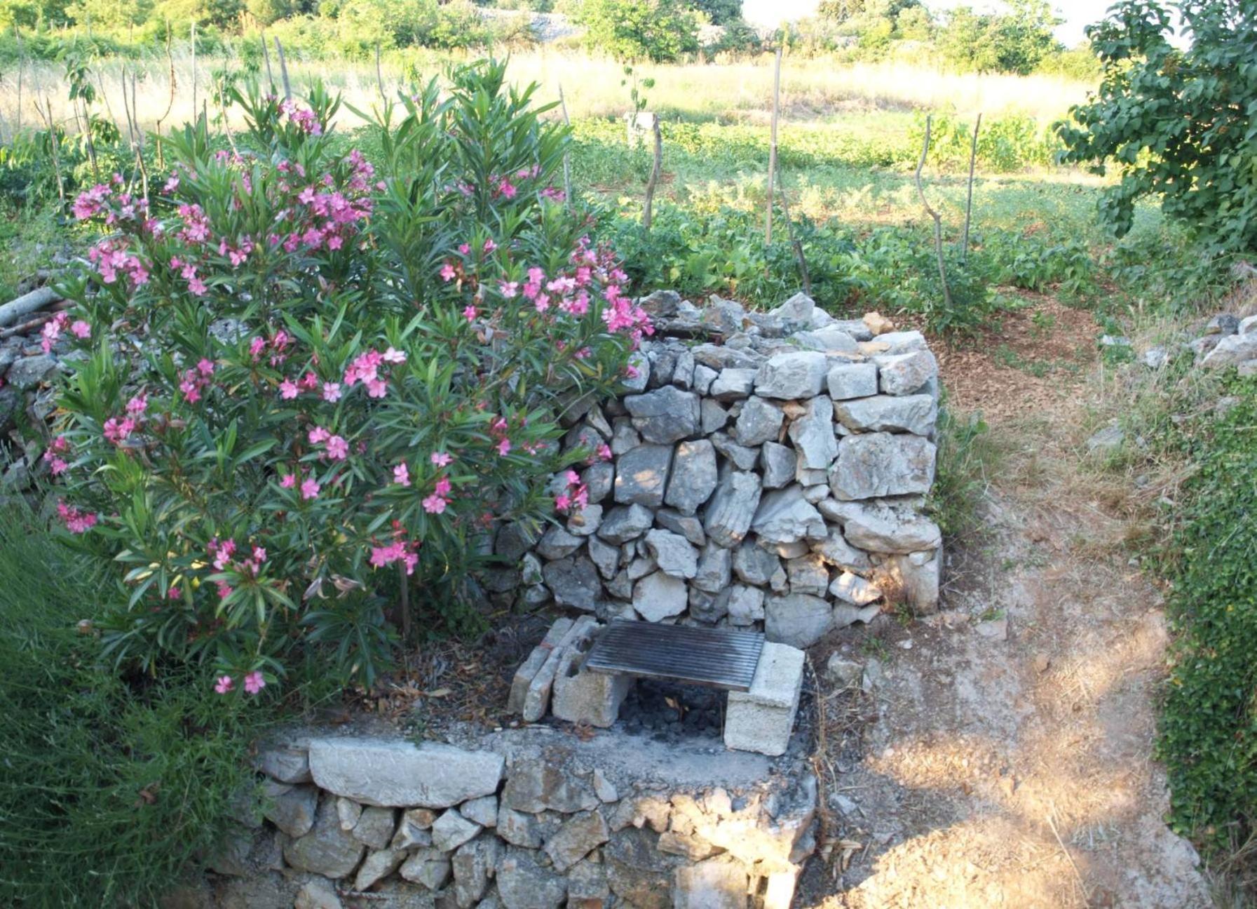 Photo 35