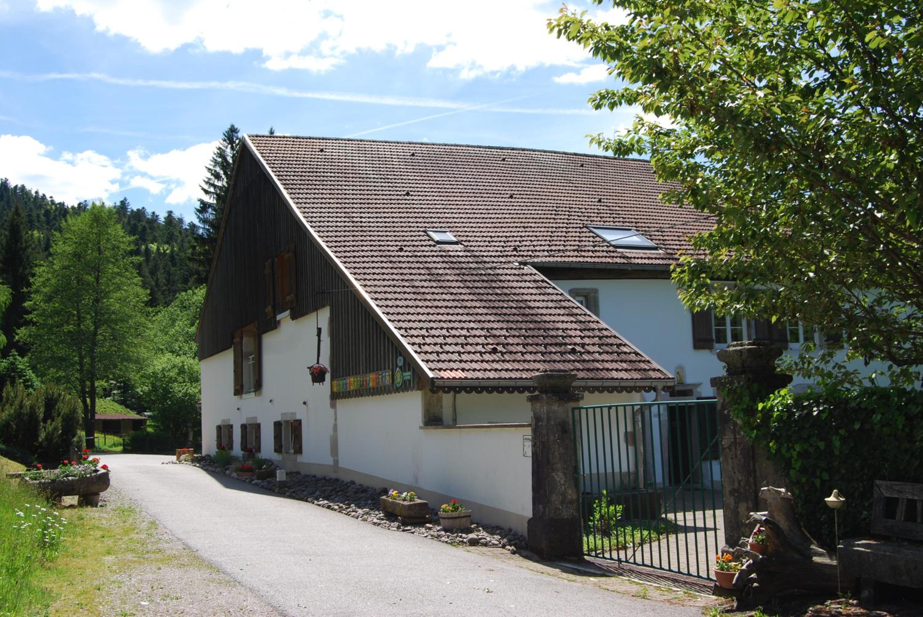 Photo 43