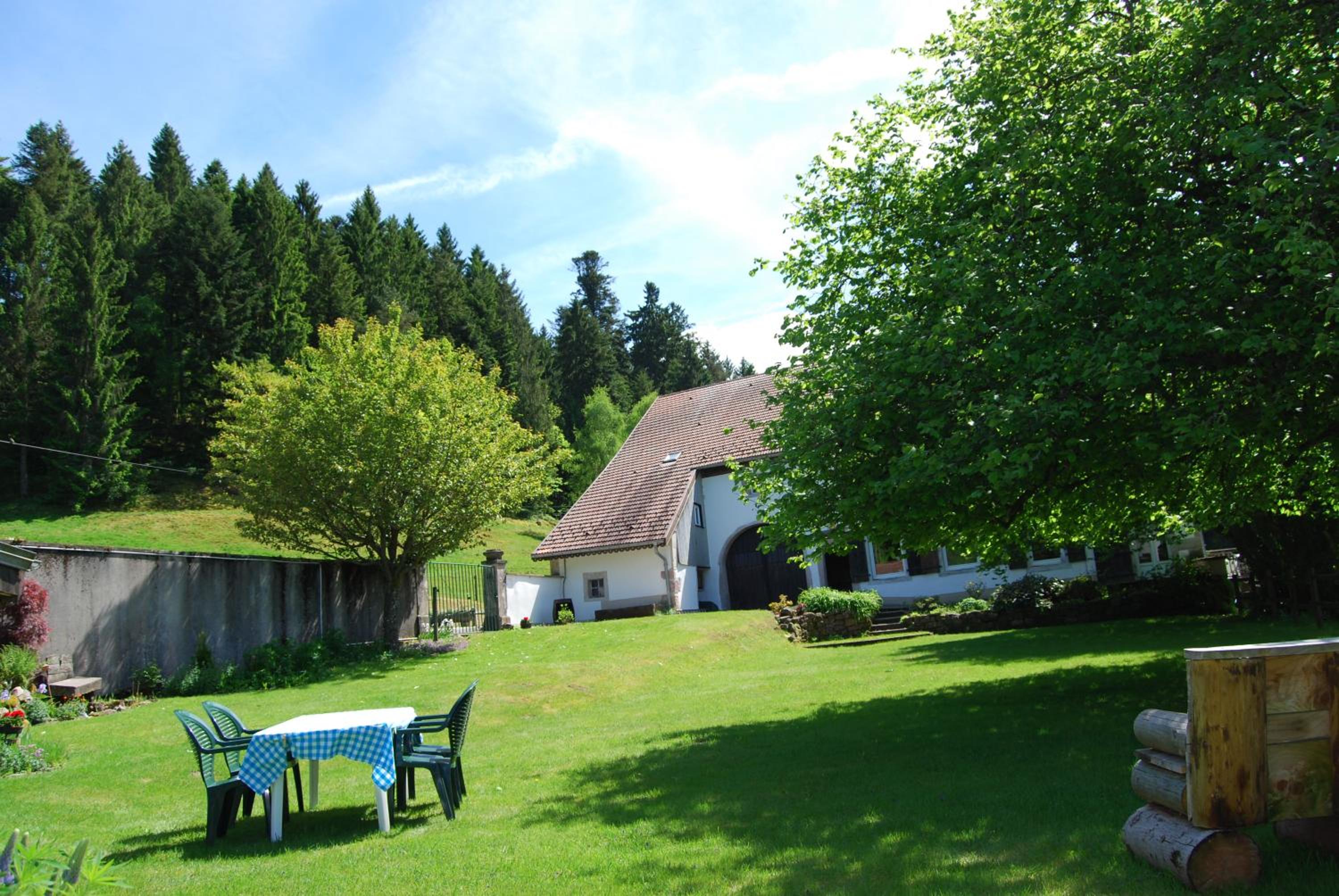 Photo 40