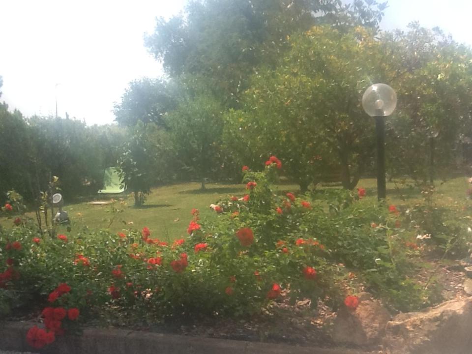 B&B Le Rose view 5