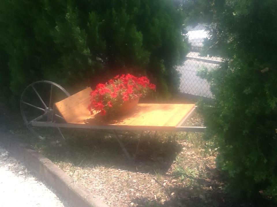 Photo 8