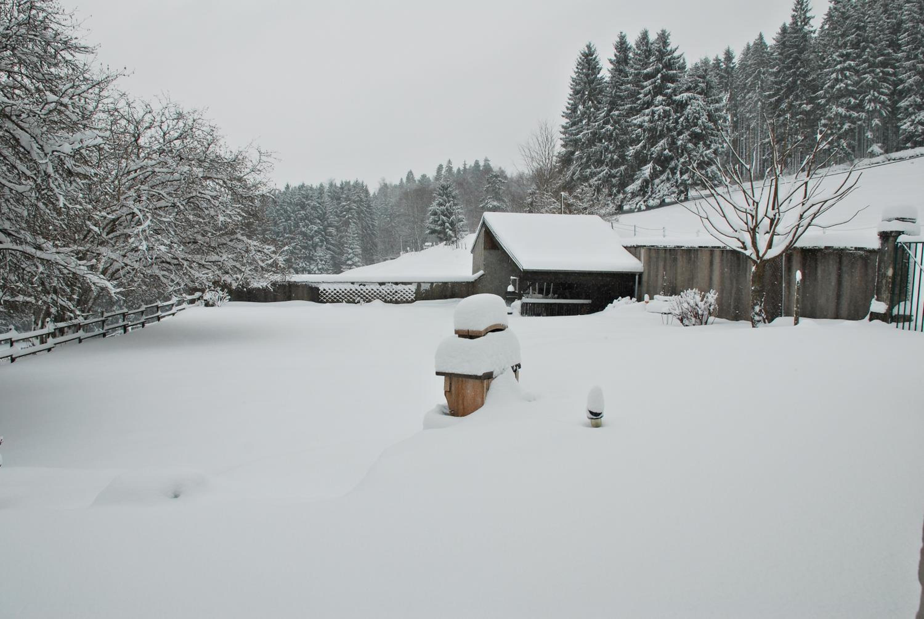 Photo 25