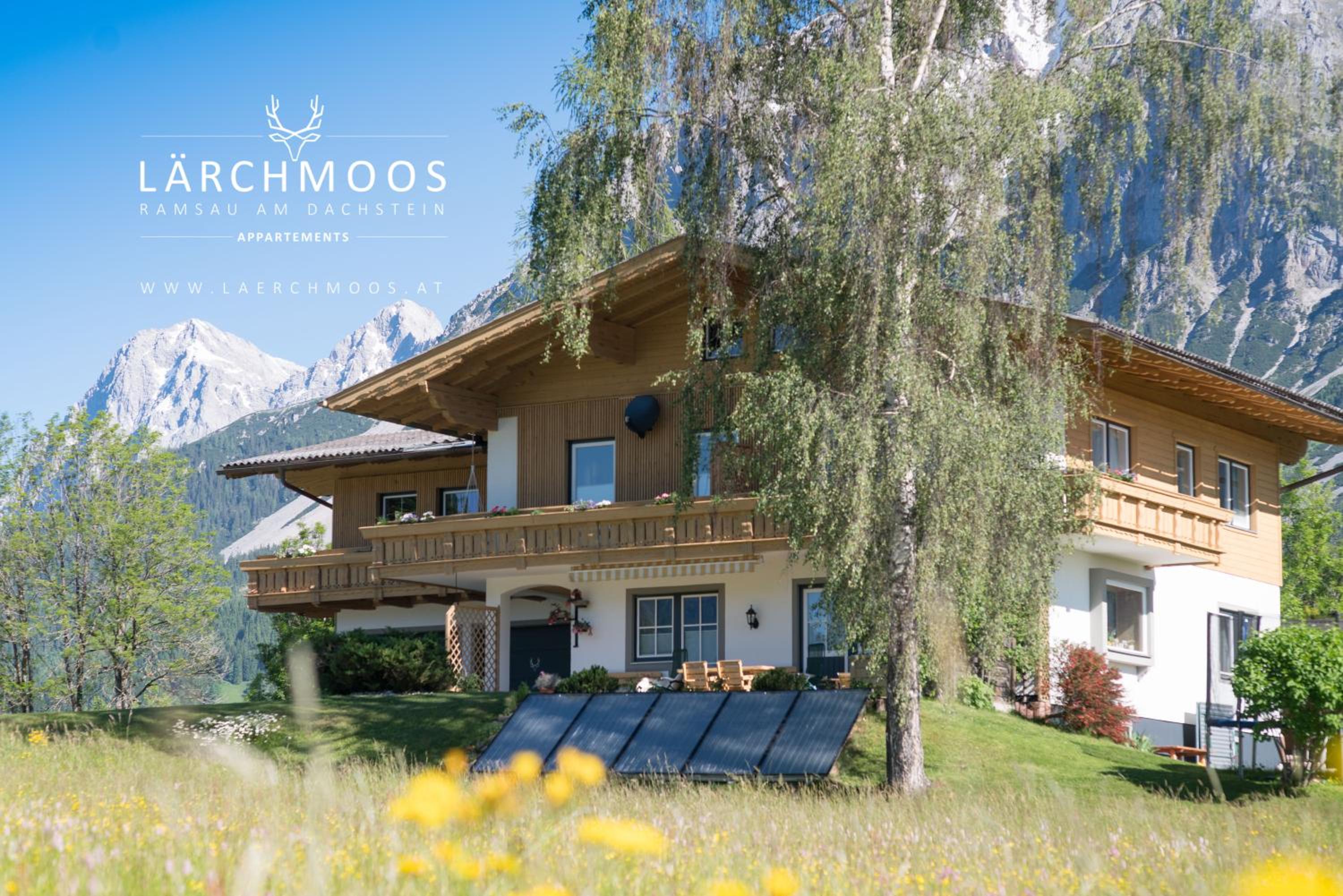 Appartements Lärchmoos view 2