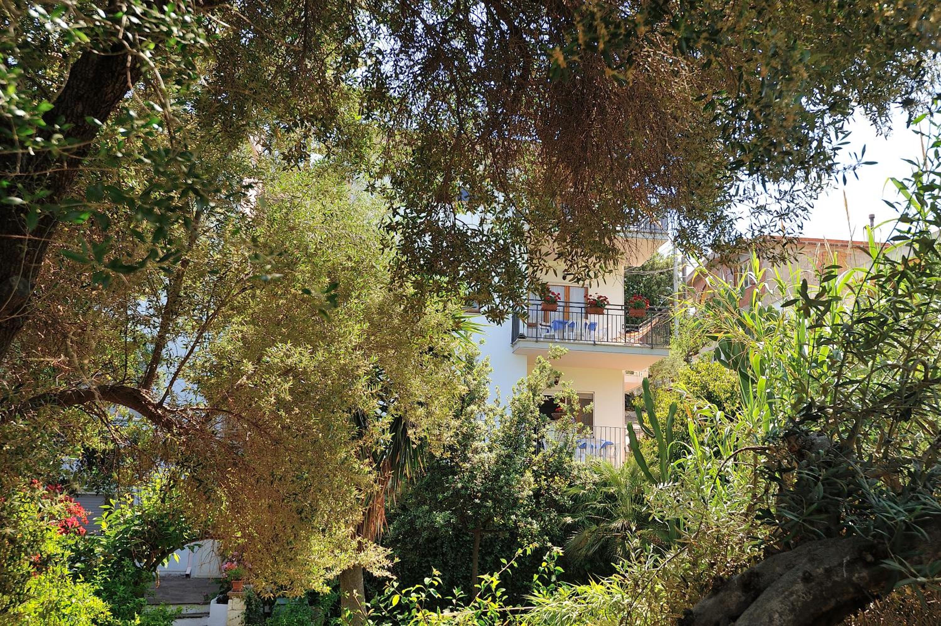 Photo 45