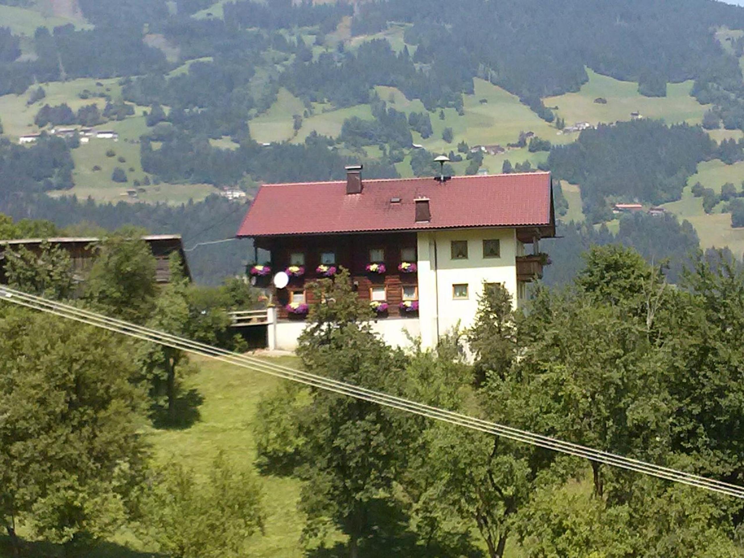 Photo 11