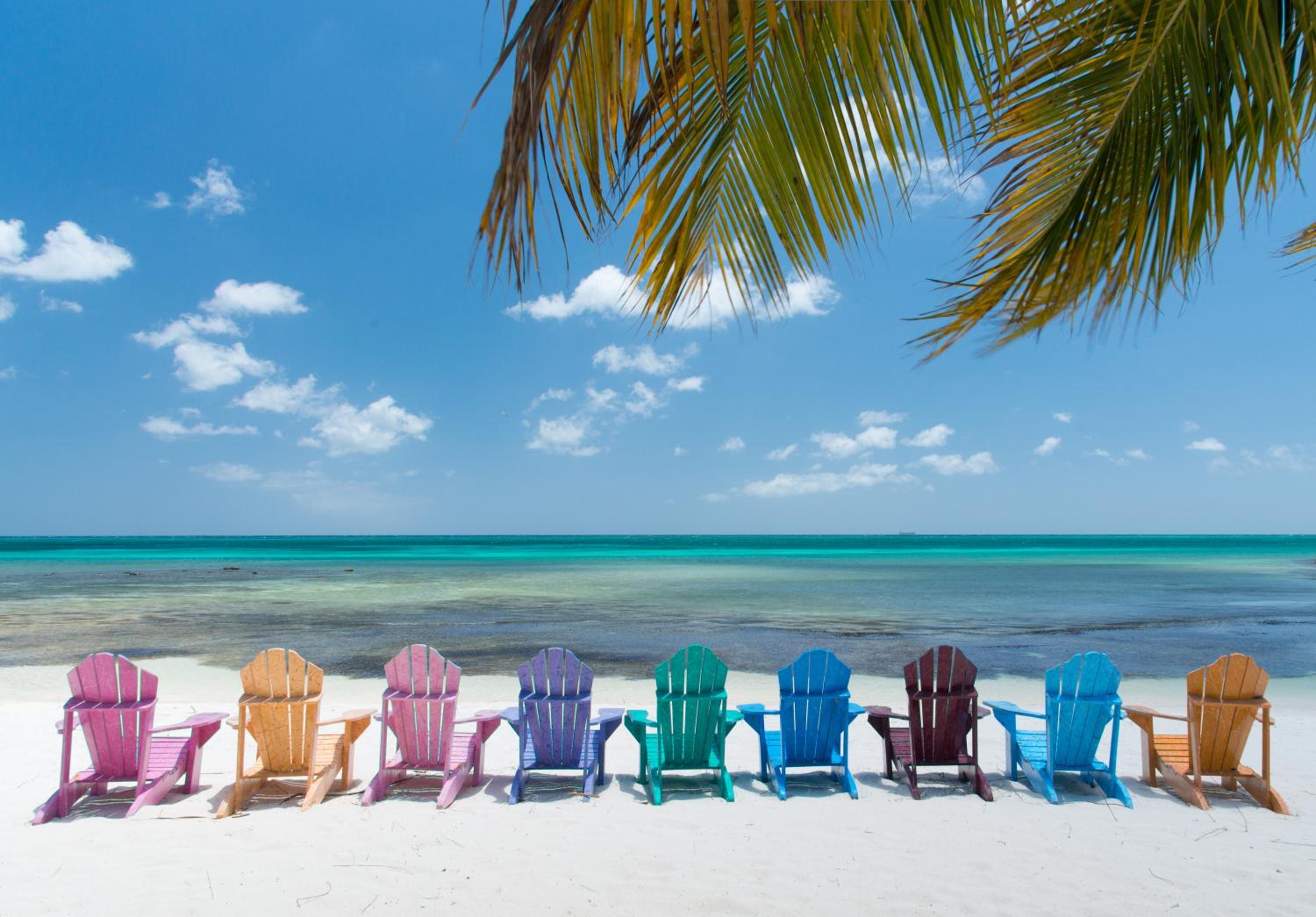 Divi Aruba Phoenix Beach Resort - Property Image 8