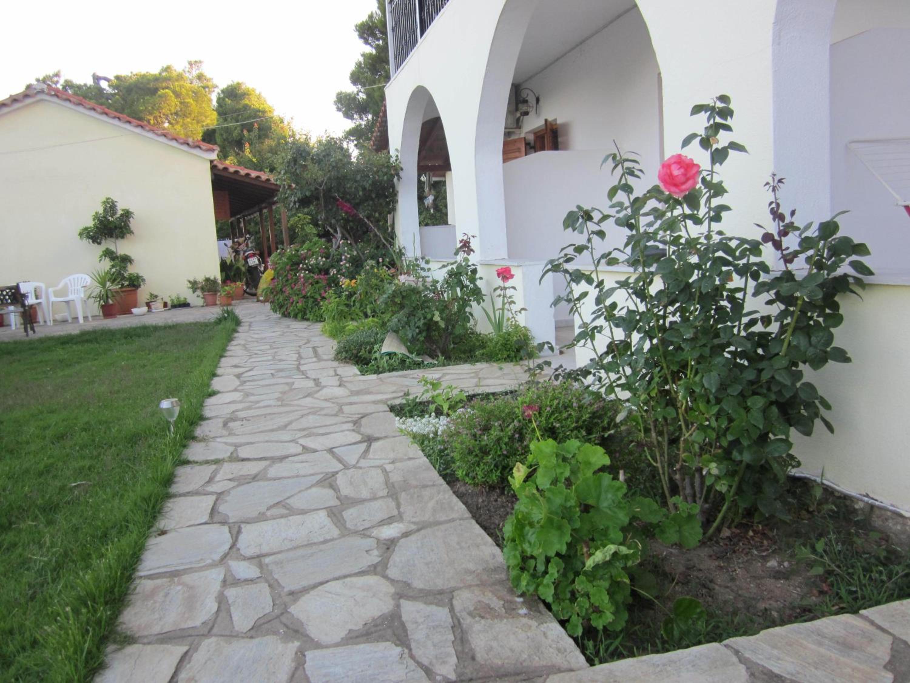 Photo 7