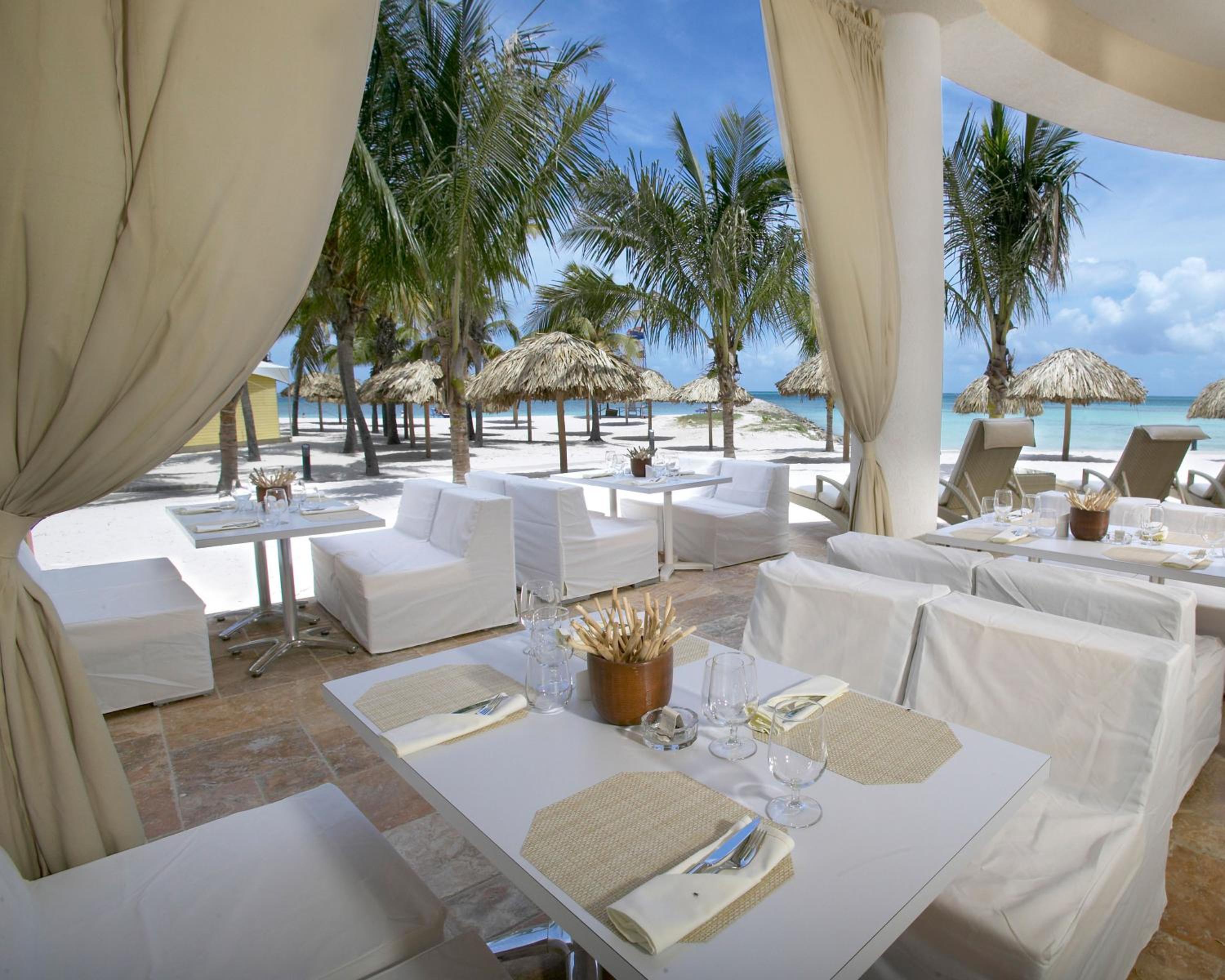 Divi Aruba Phoenix Beach Resort - Property Image 62