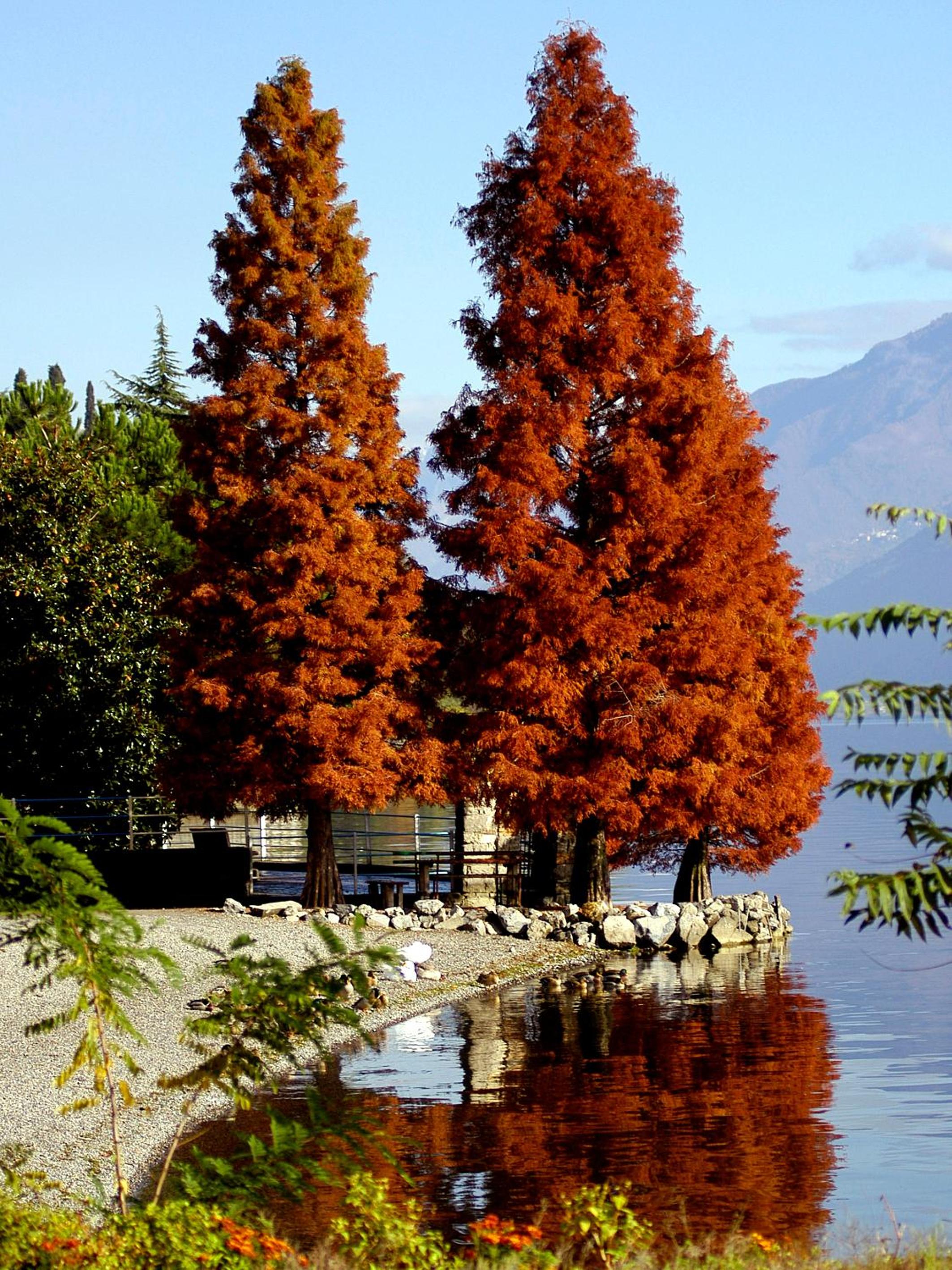 Castello di Zorzino Iseo lake
