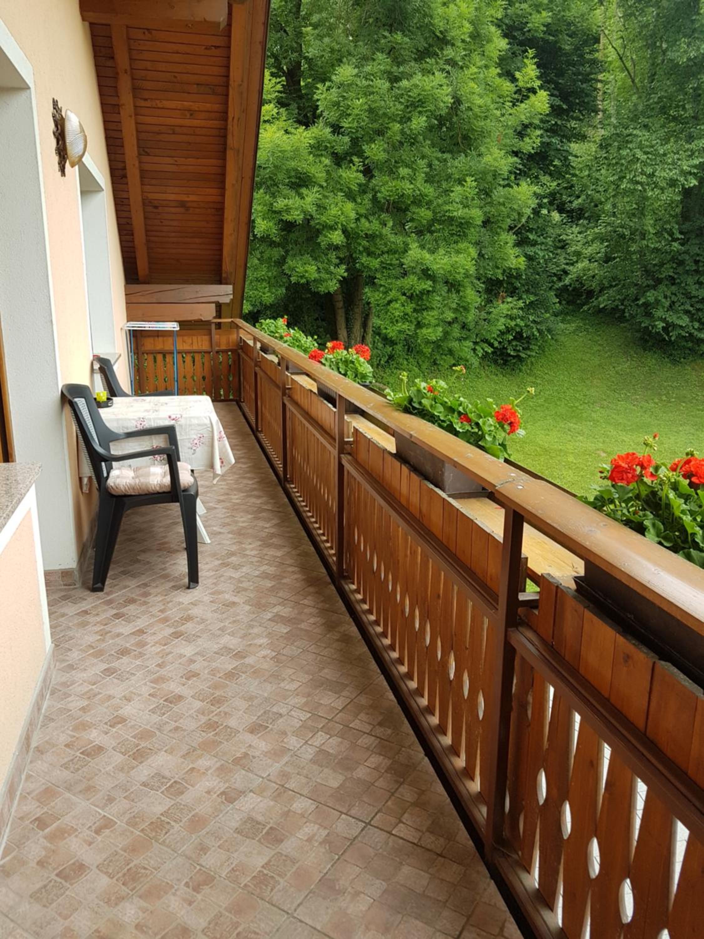 Apartmaji Mežan — photo 120