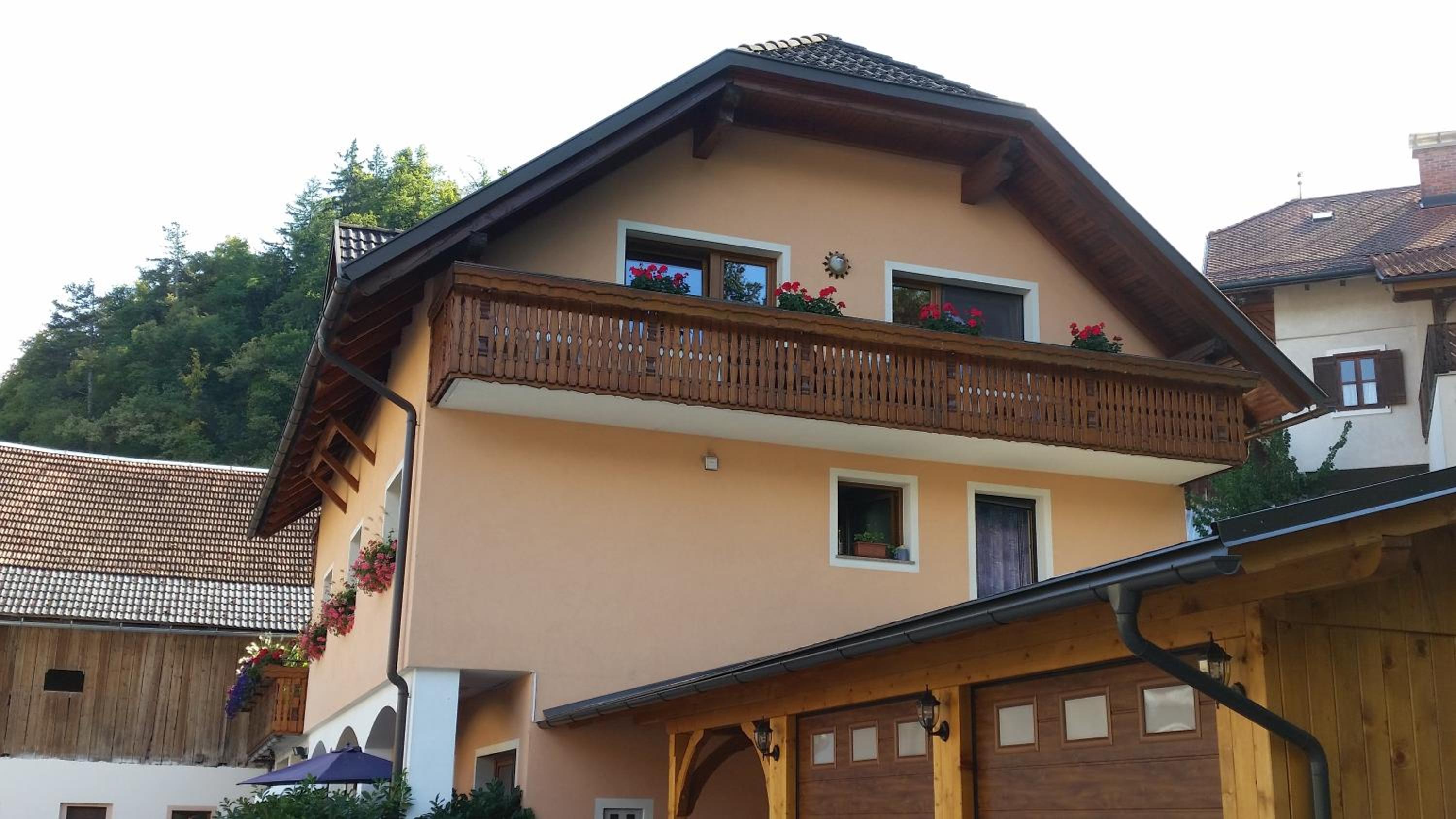Apartmaji Mežan — photo 85