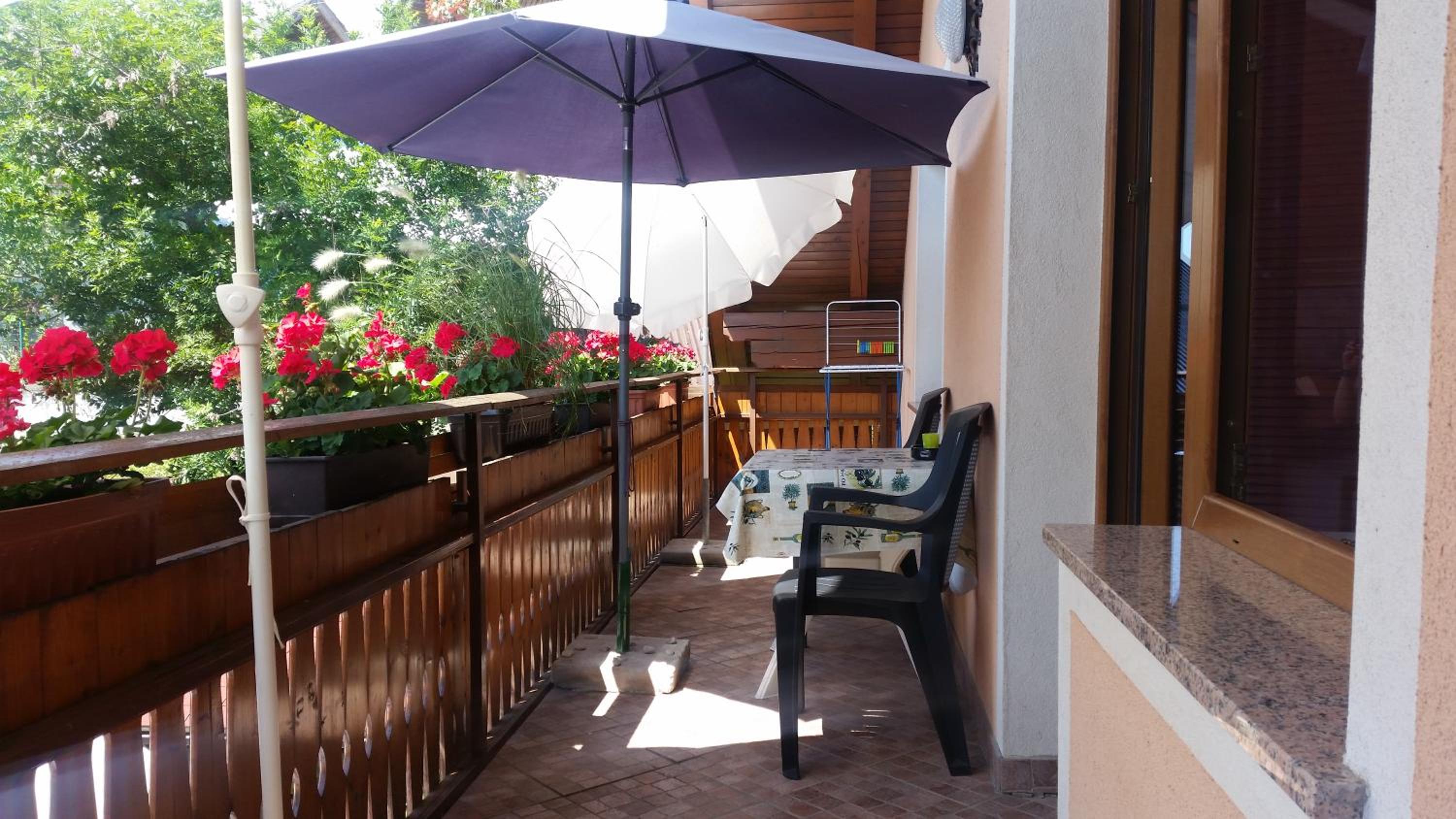 Apartmaji Mežan — photo 81