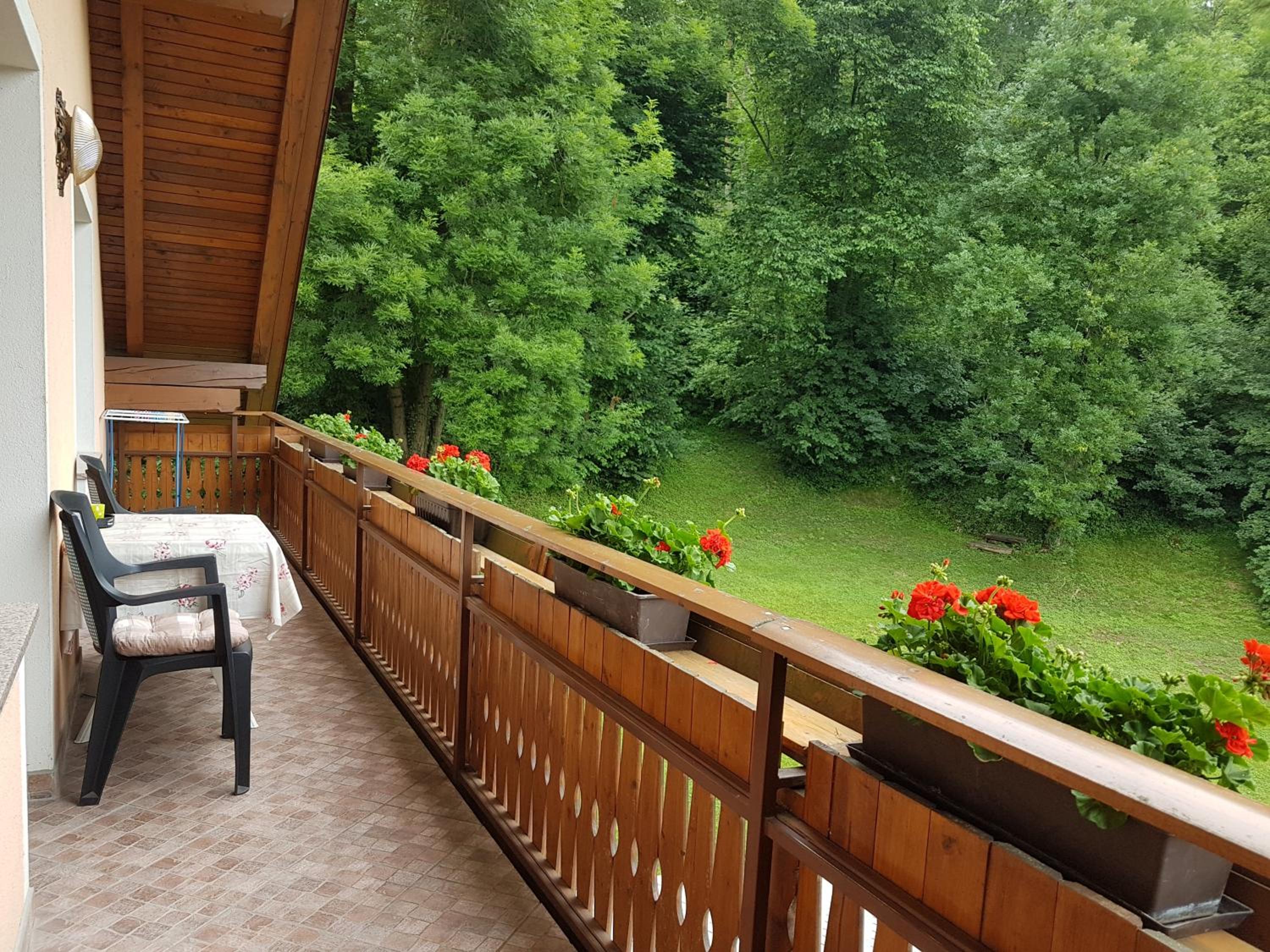 Apartmaji Mežan — photo 103