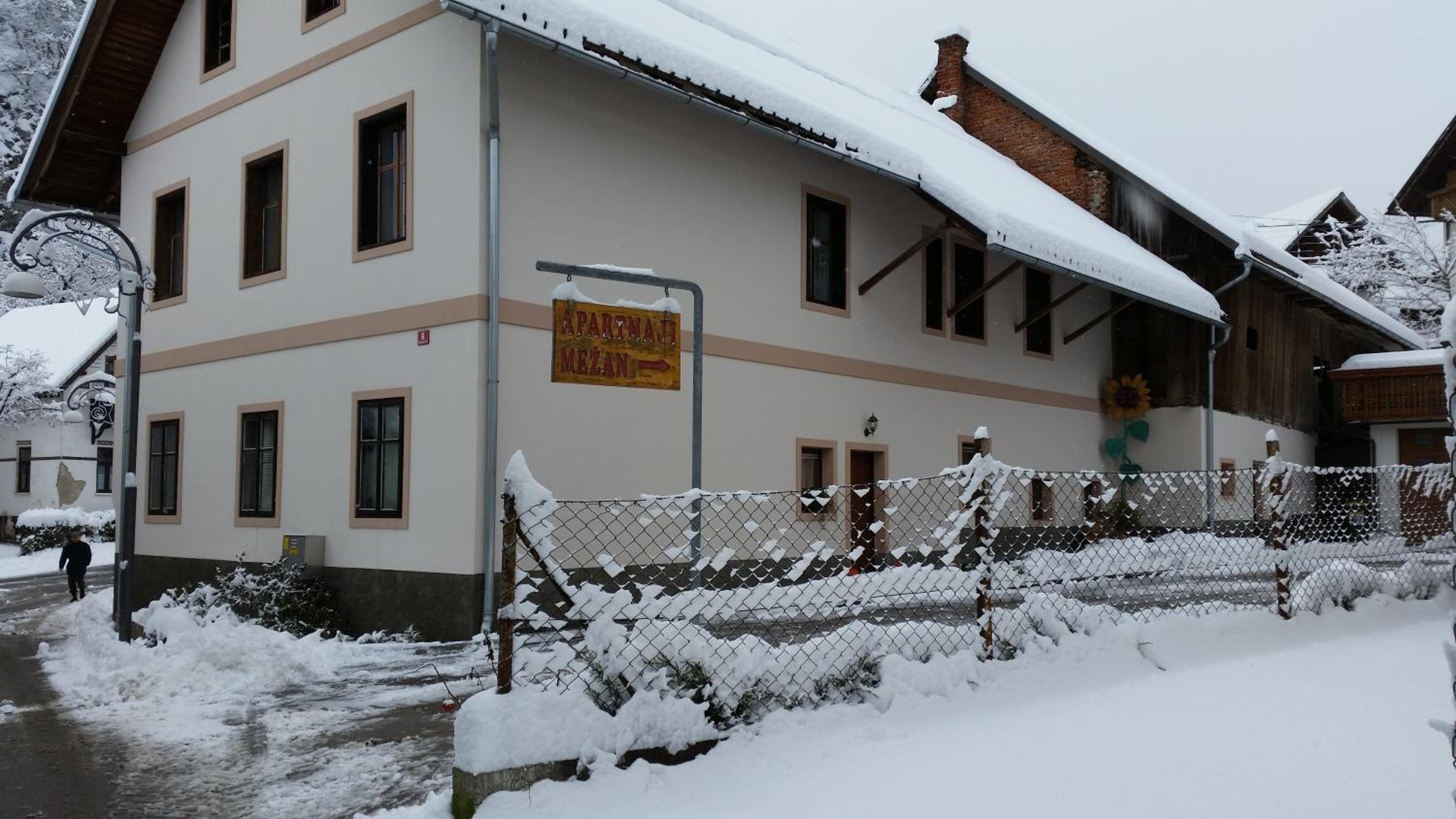 Apartmaji Mežan — photo 102