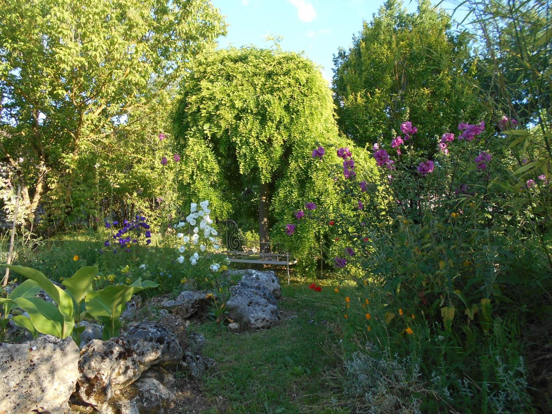 Photo 21