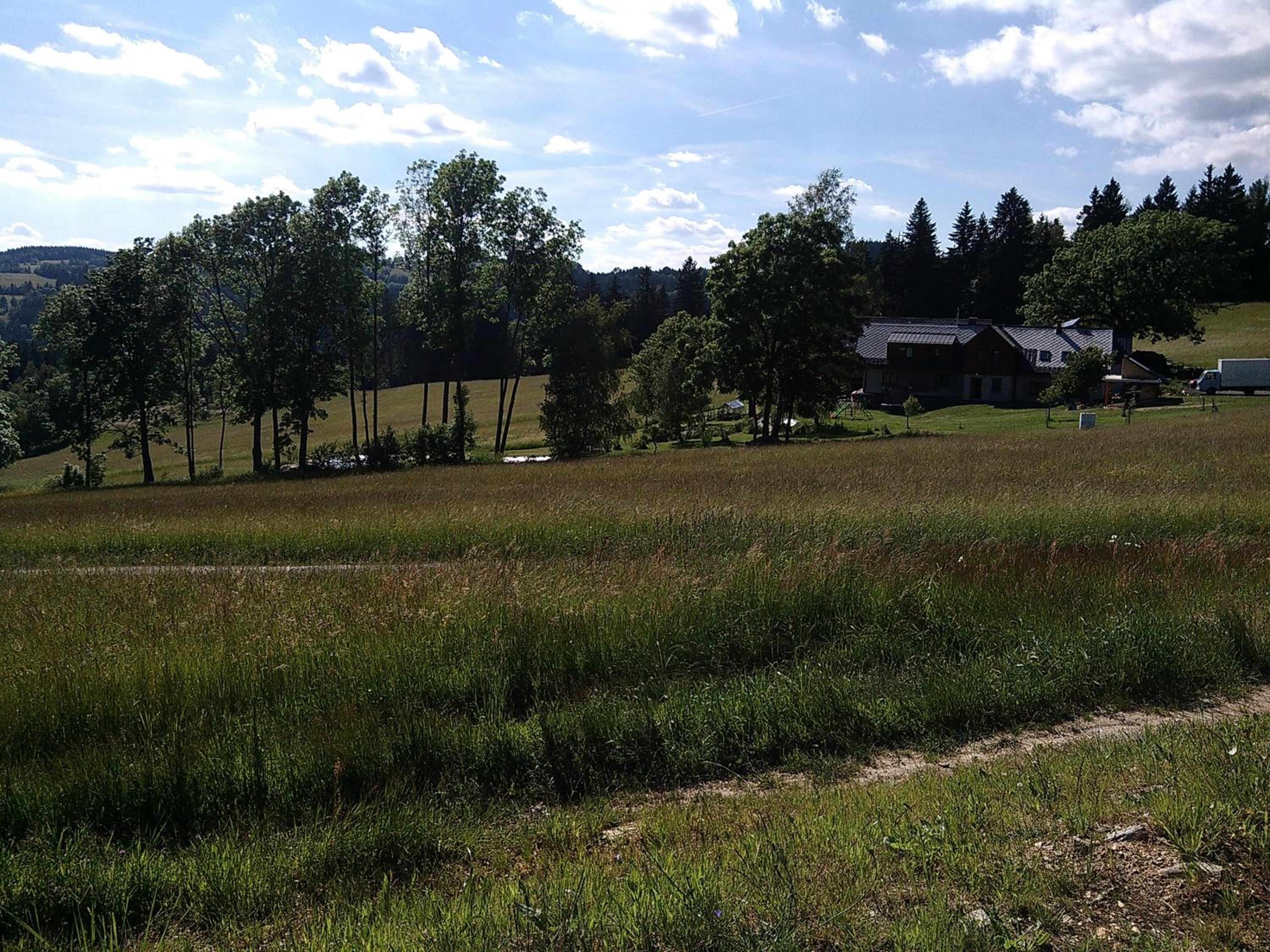 Photo 42