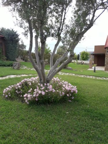 Photo 49