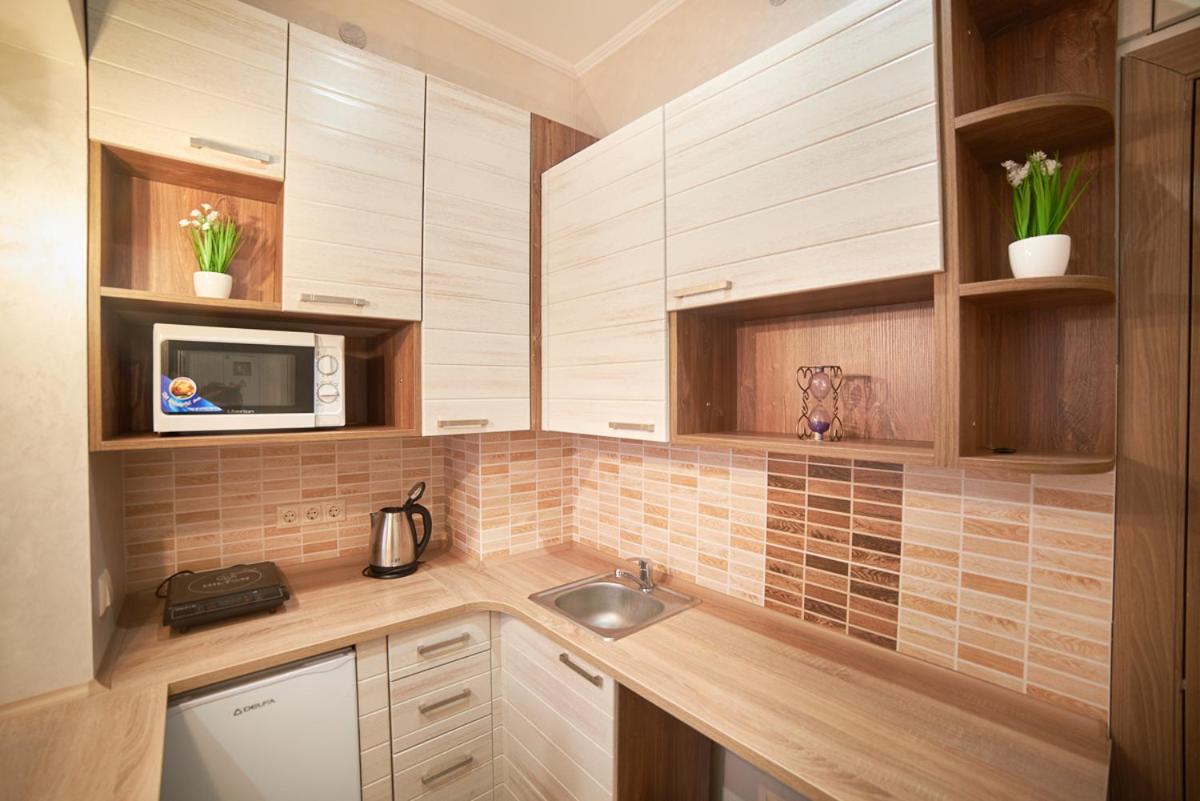 Apartment on Horodotska street