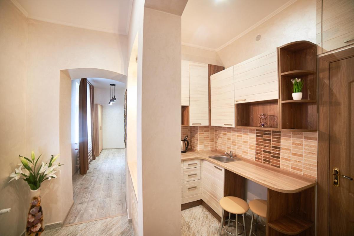 Apartment on Horodotska street