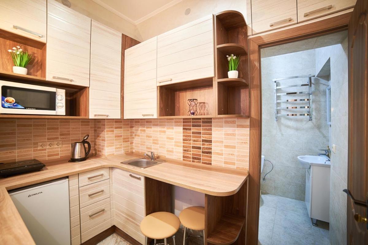 Apartment on Horodotska street