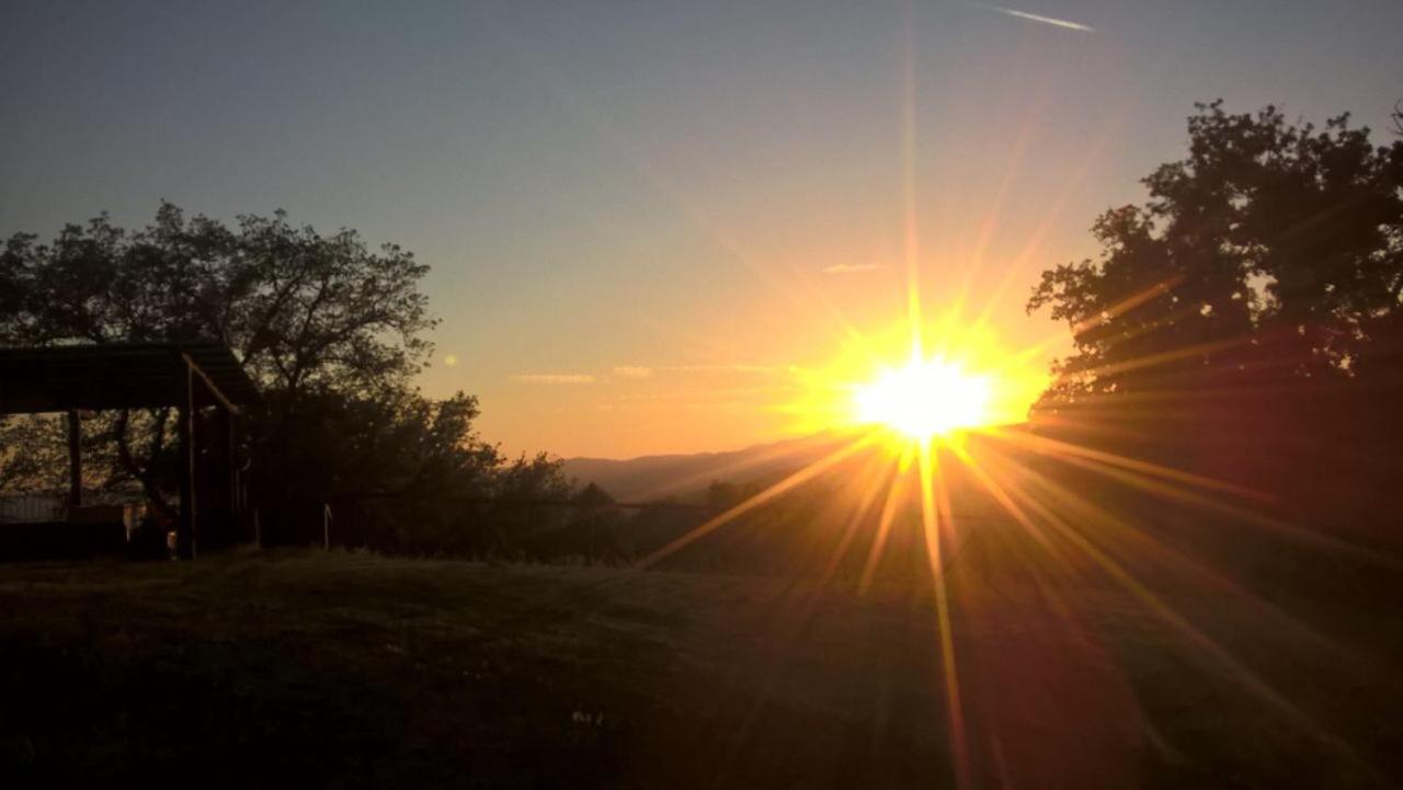 Le Querce view 4