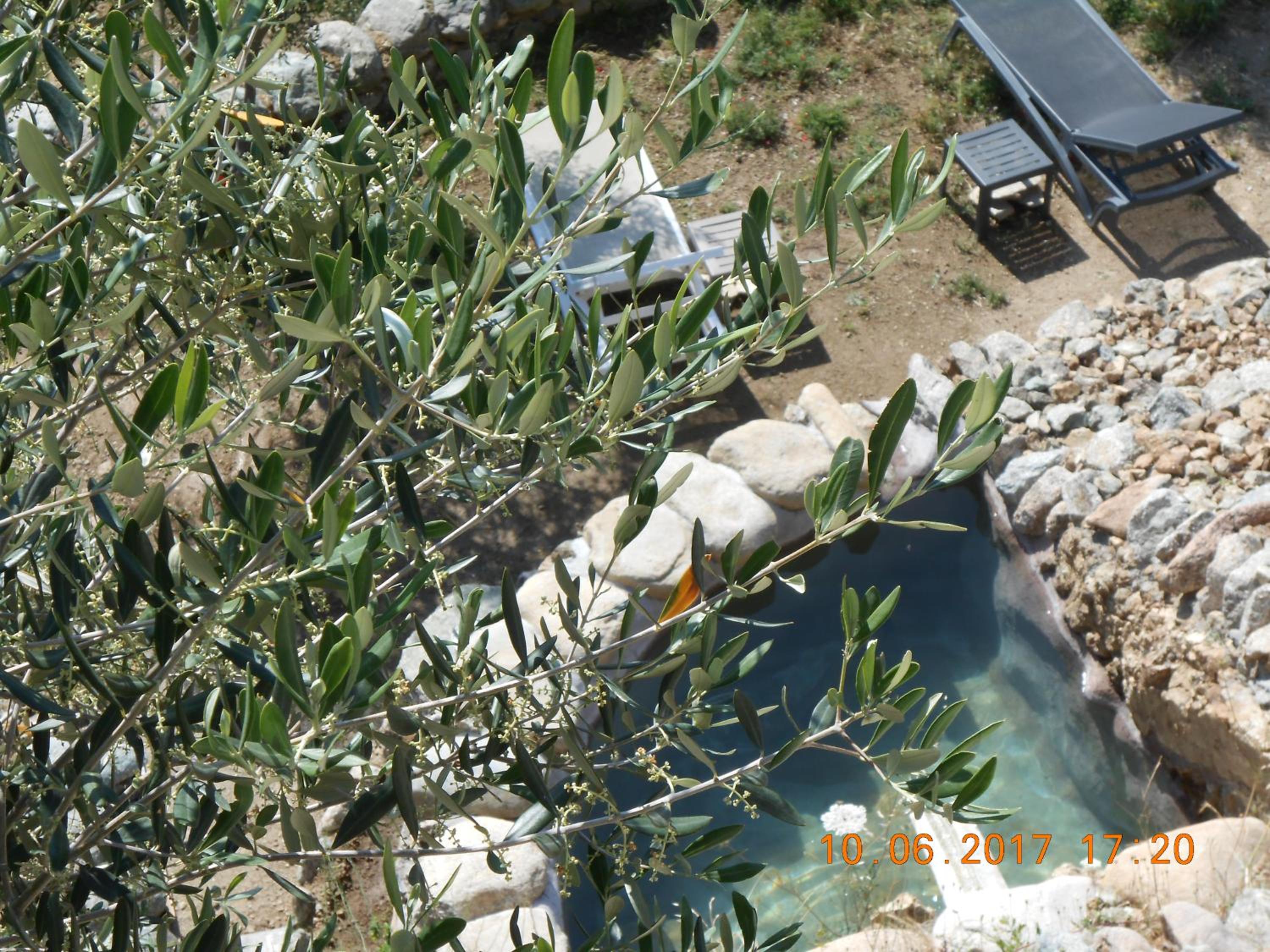 Photo 31