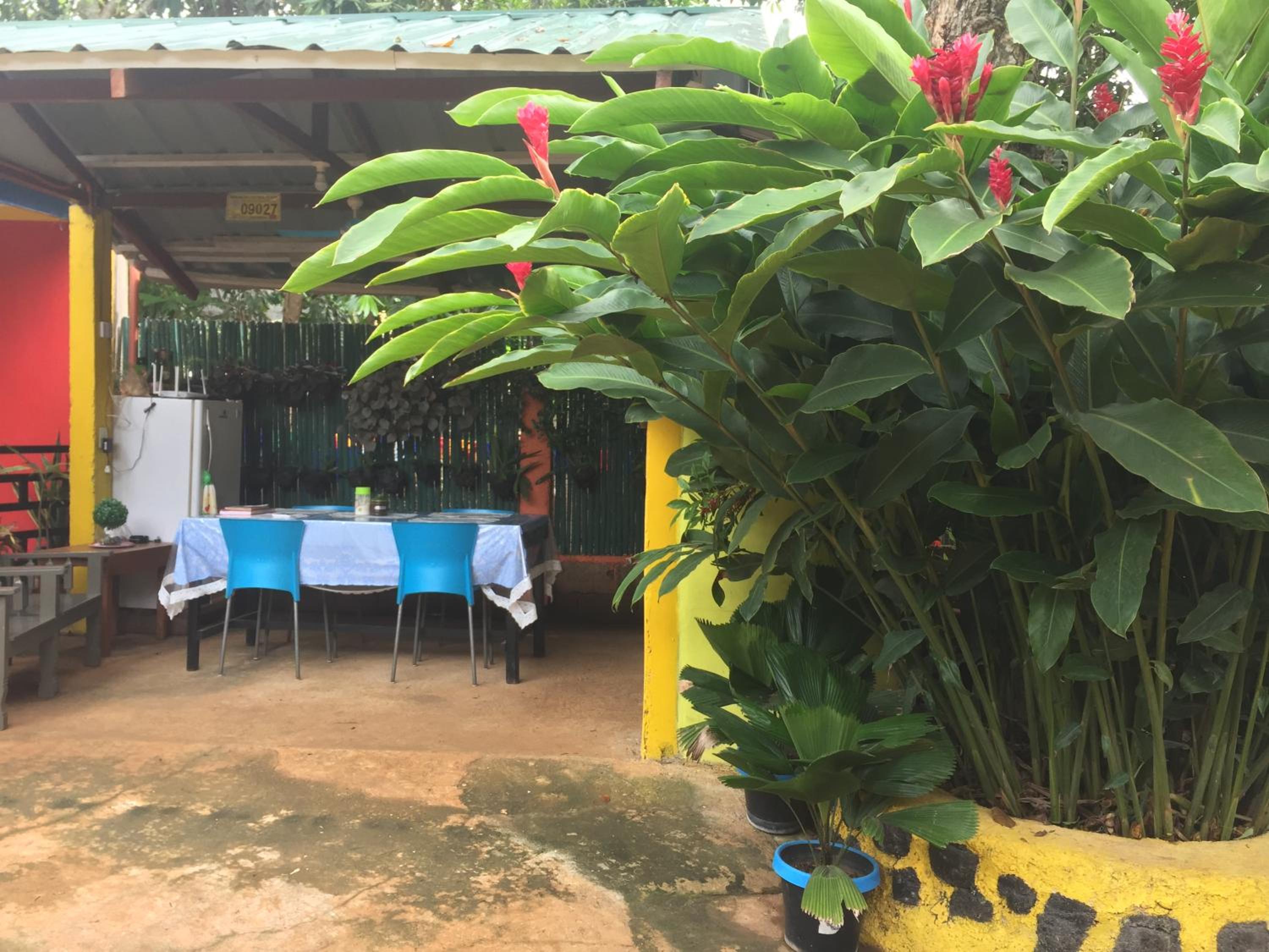Amelia Homestay
