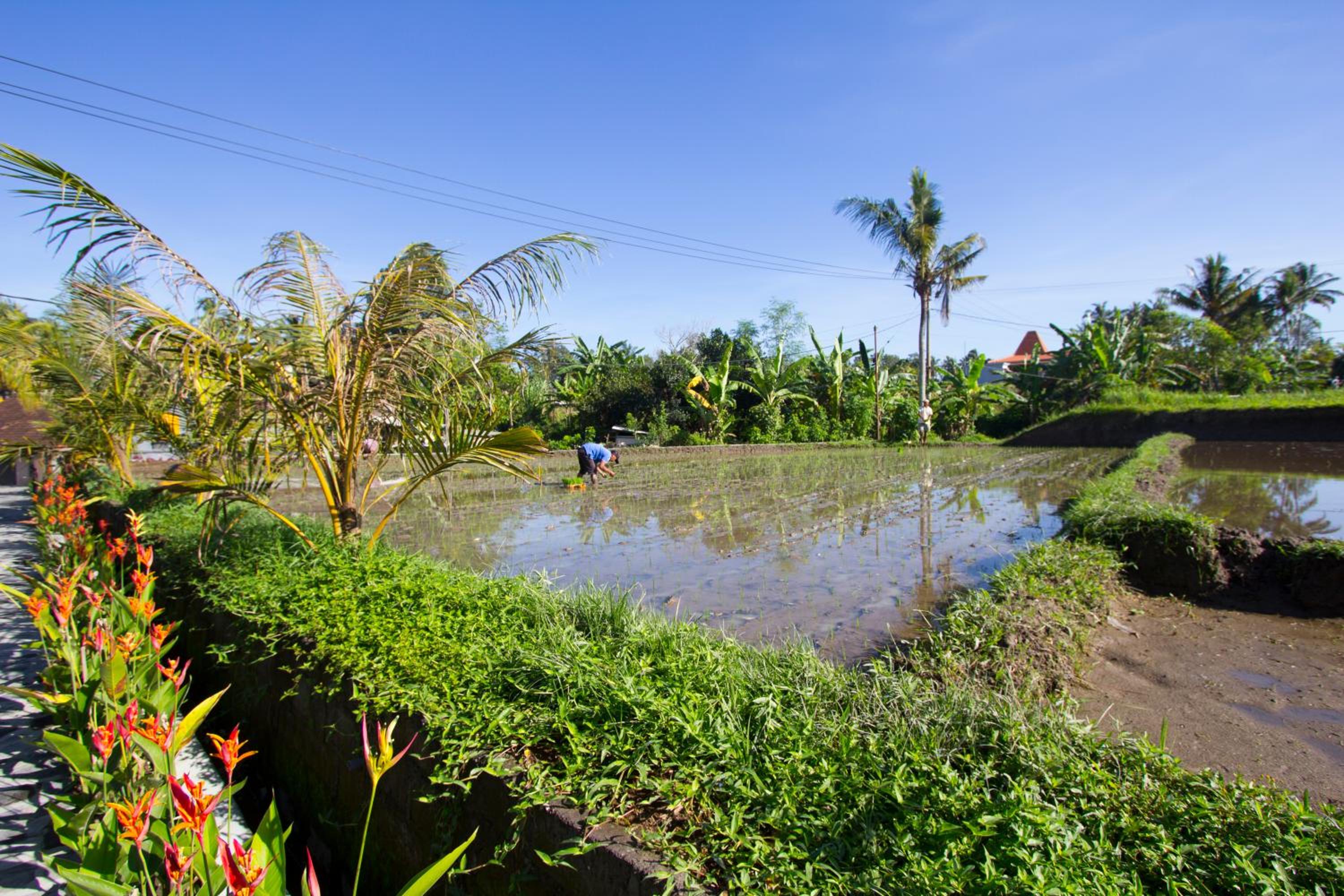 Baruna Sari Villa