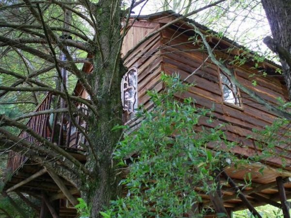 Sycamore Avenue Treehouses & Cottages Accommodation