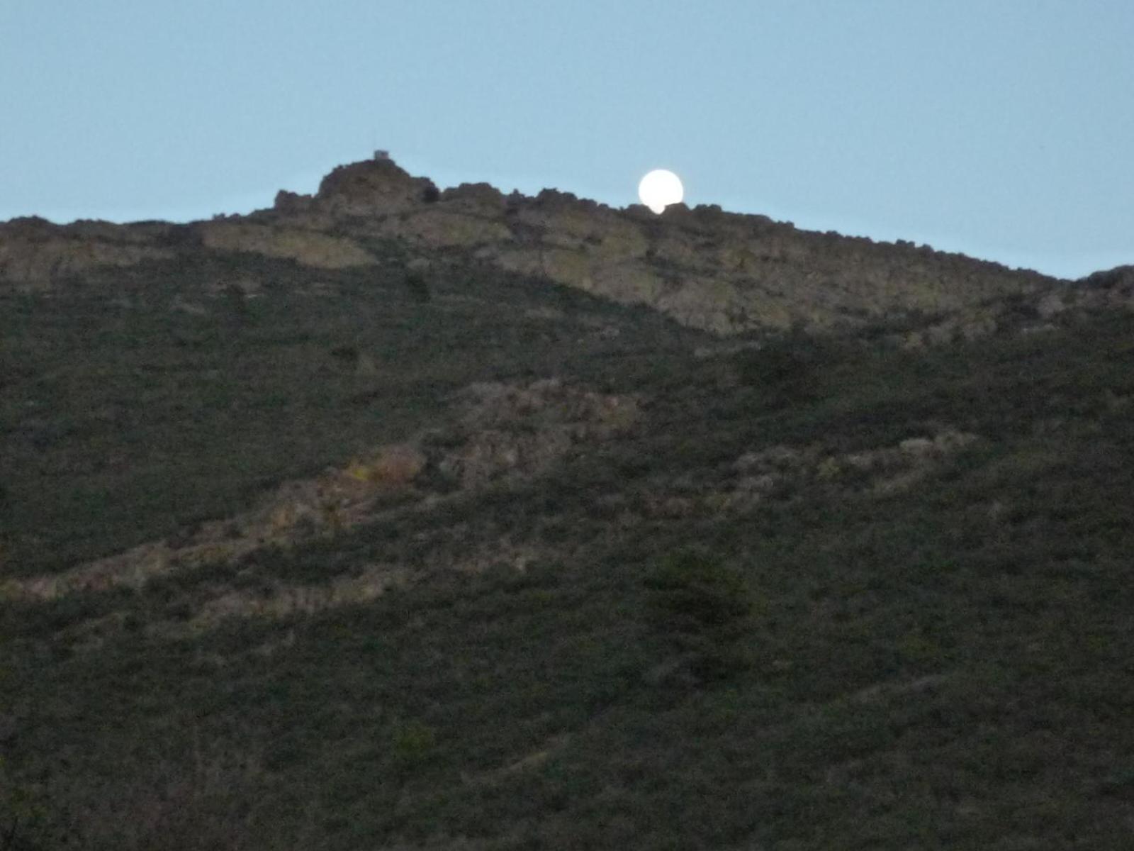 Campillo