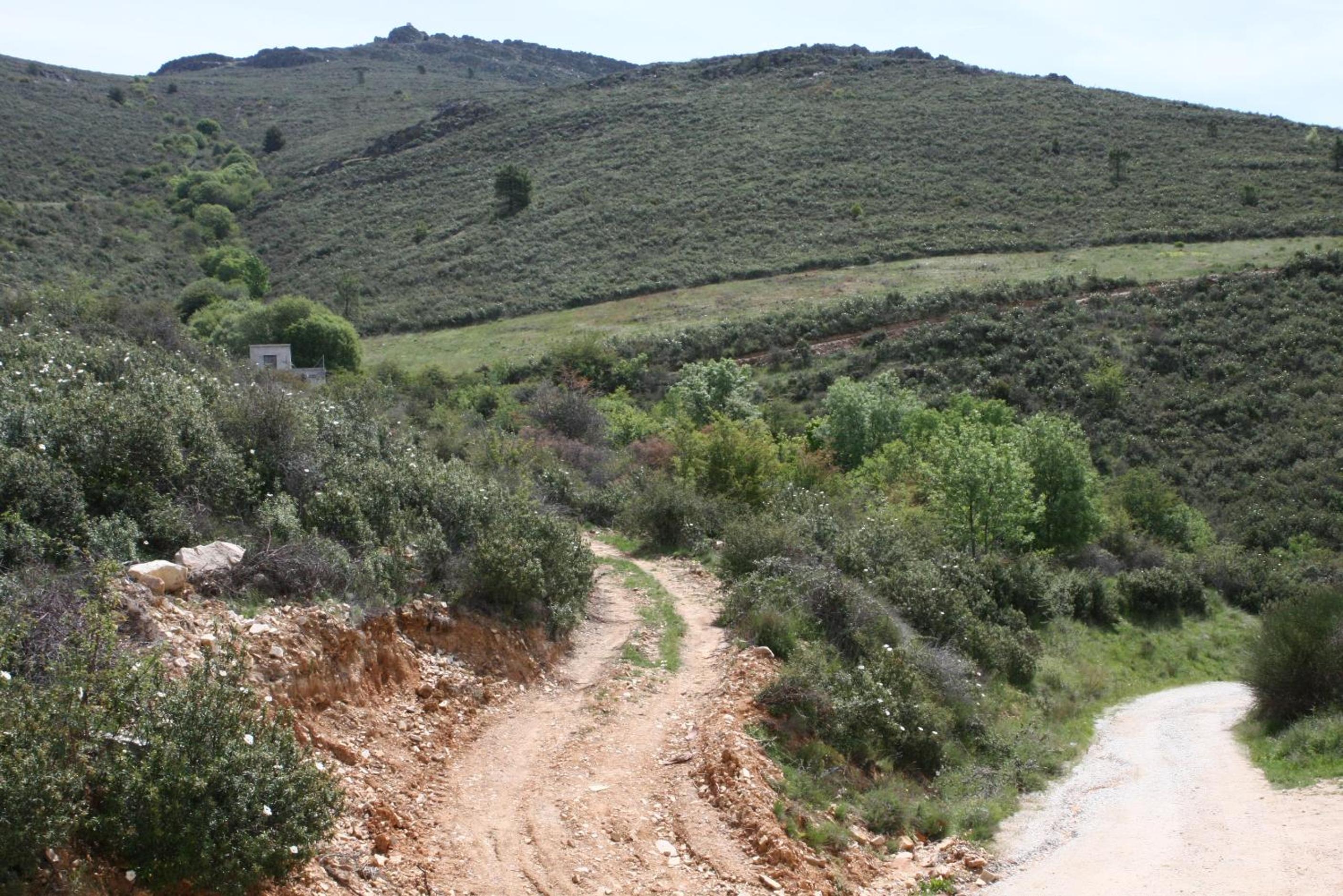 Campillo