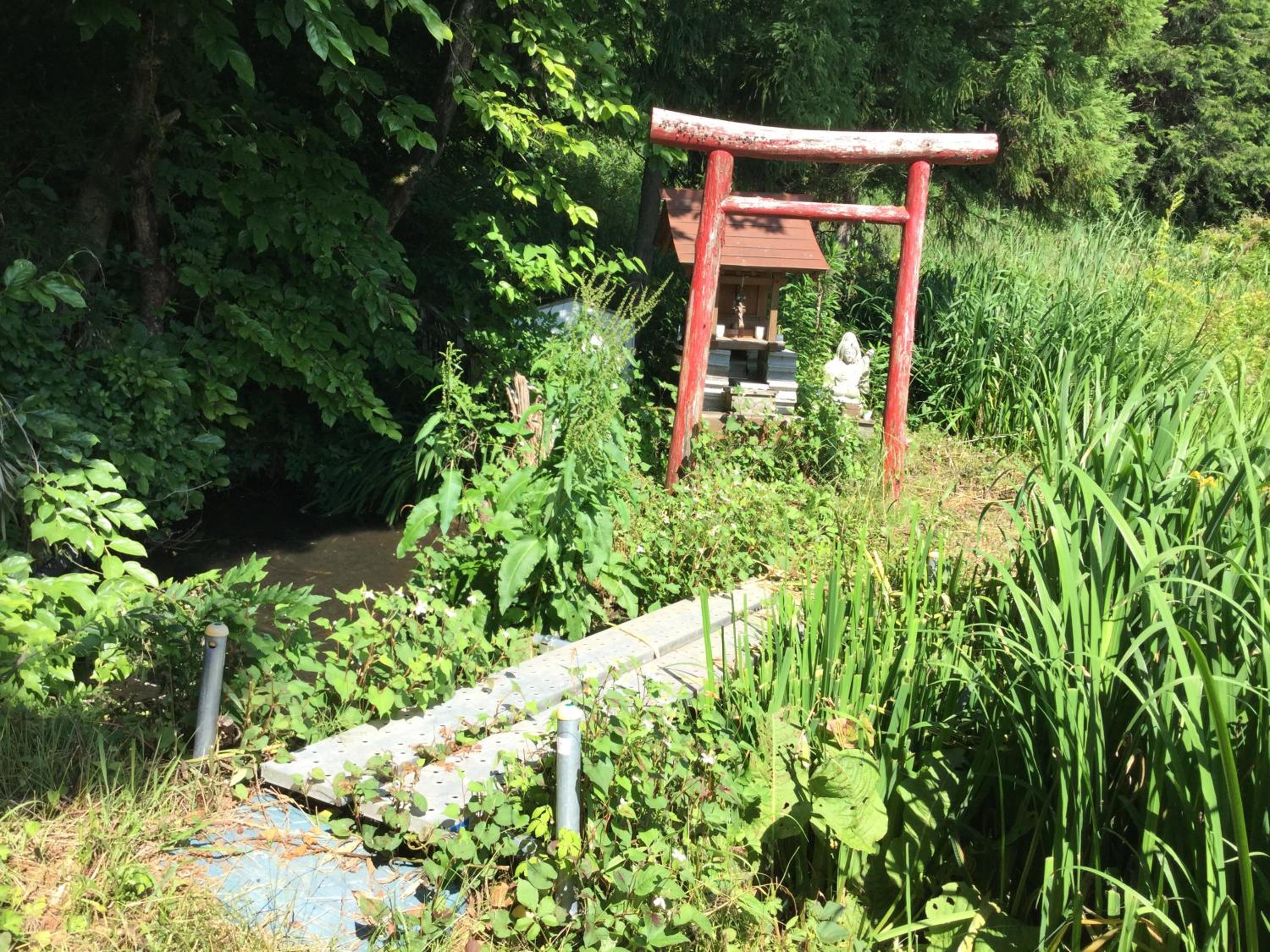 Photo 18
