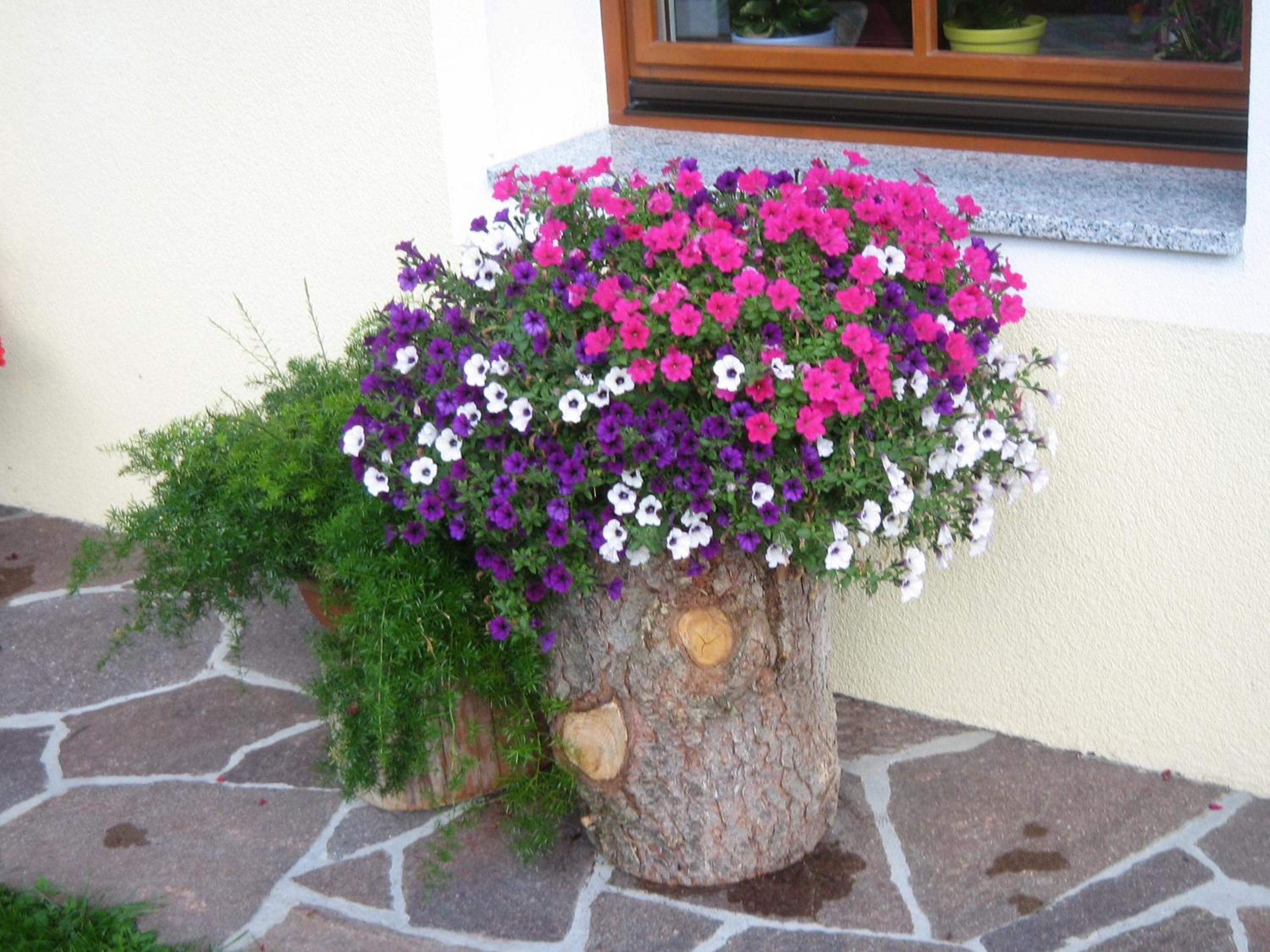 Landhaus Gemsenblick