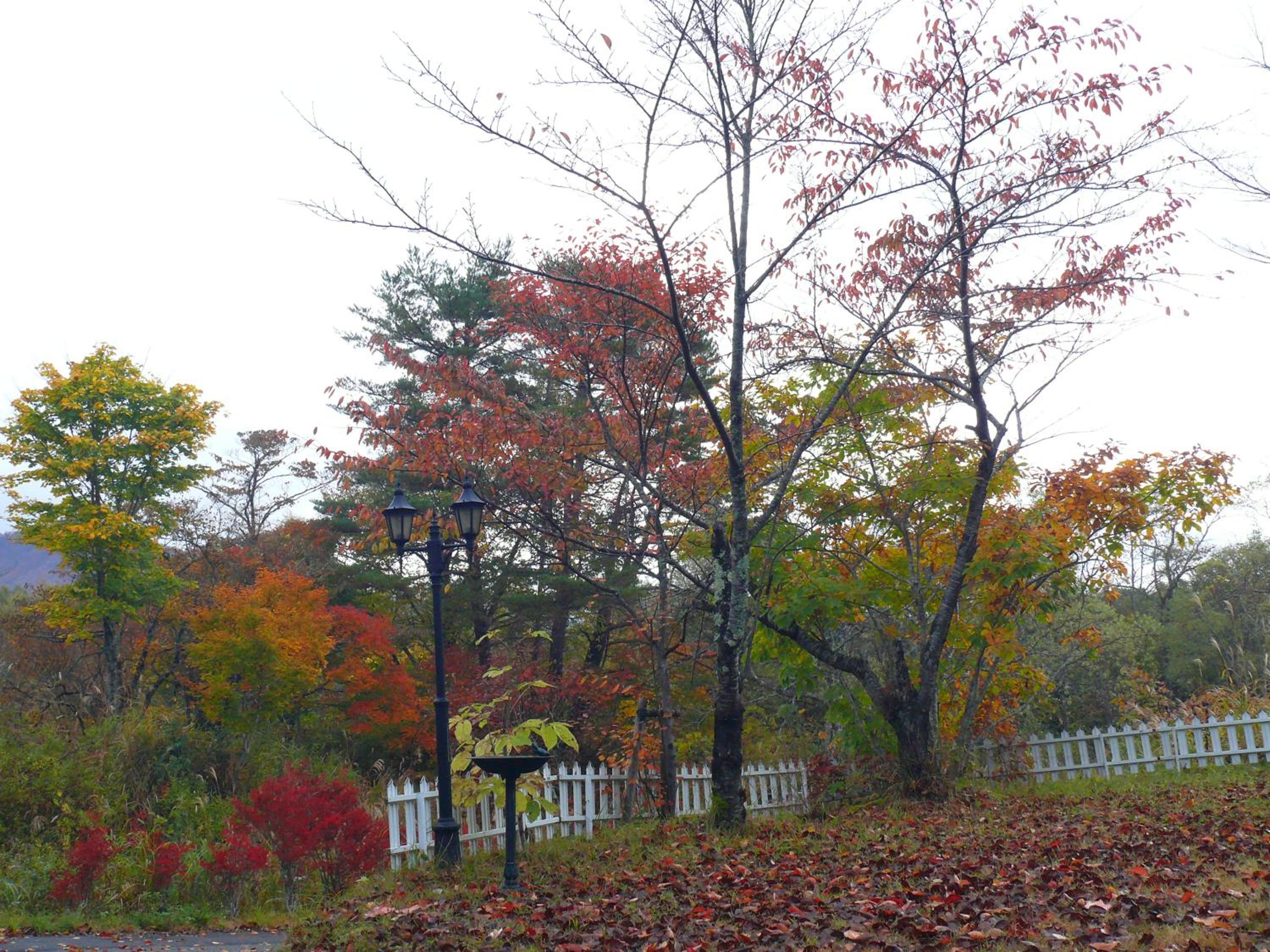 Country Inn Mori no Gorilla, Kitashiobara - 13