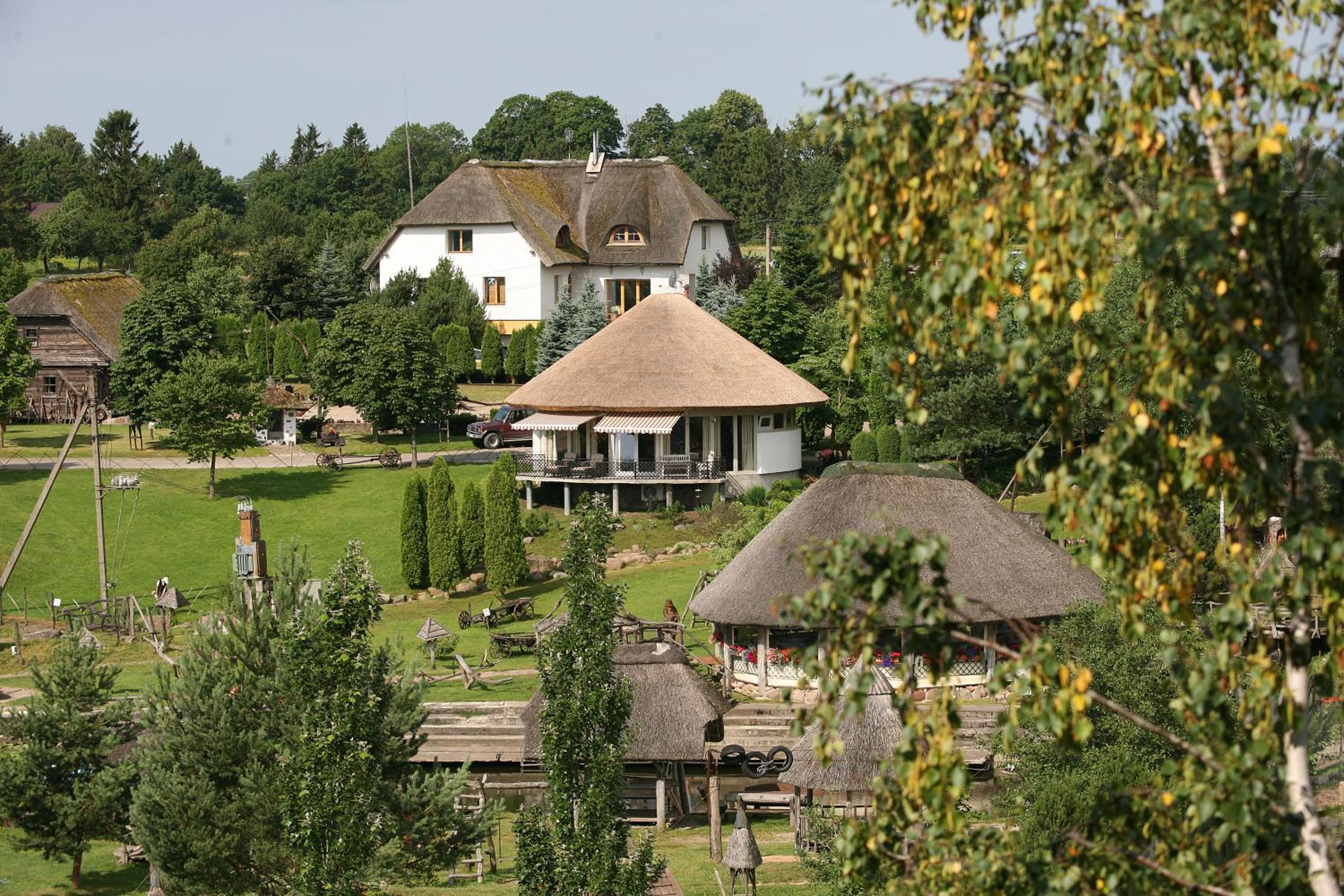 Photo 42