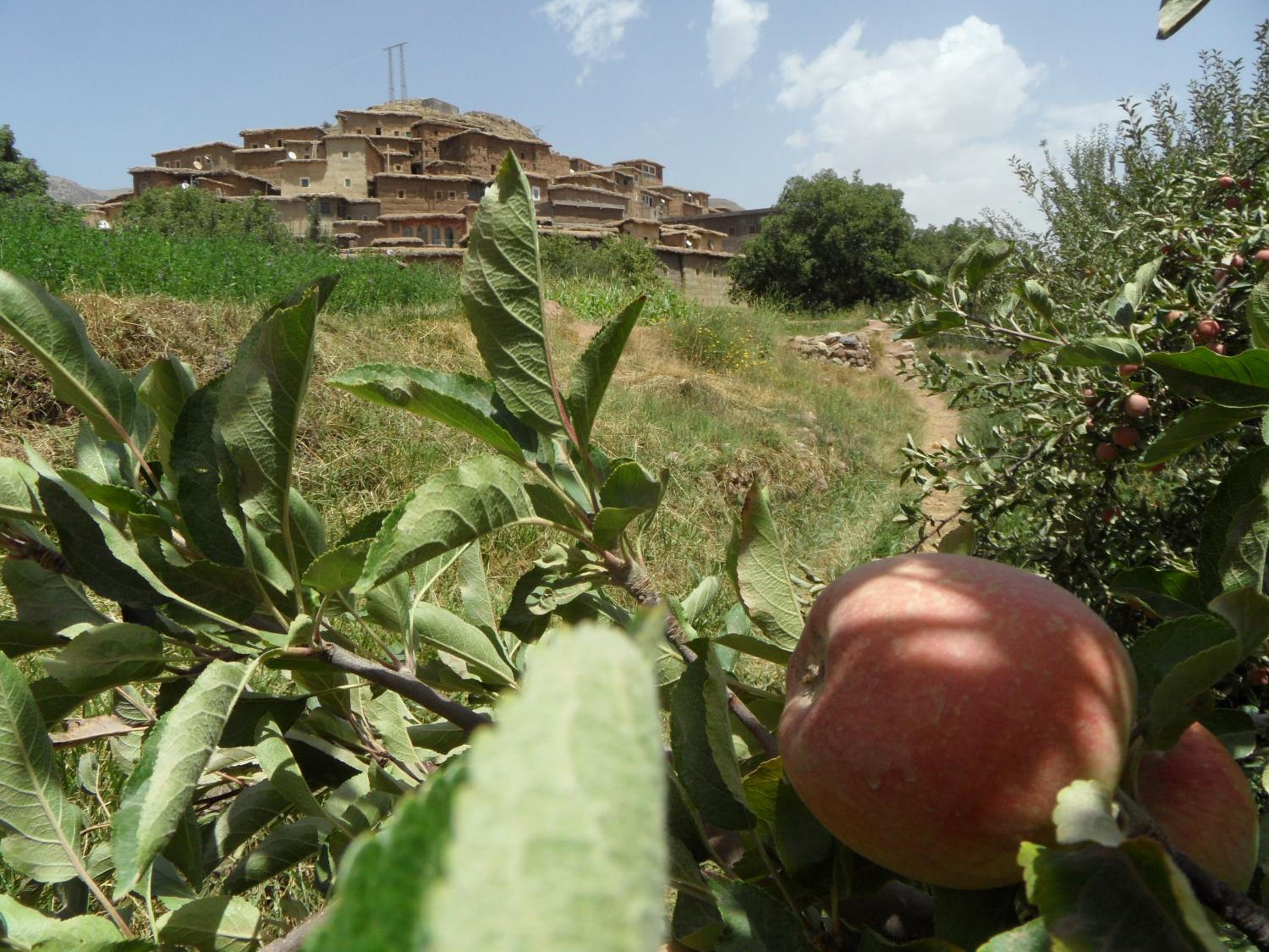 Gite Tigmi Azrur view 2