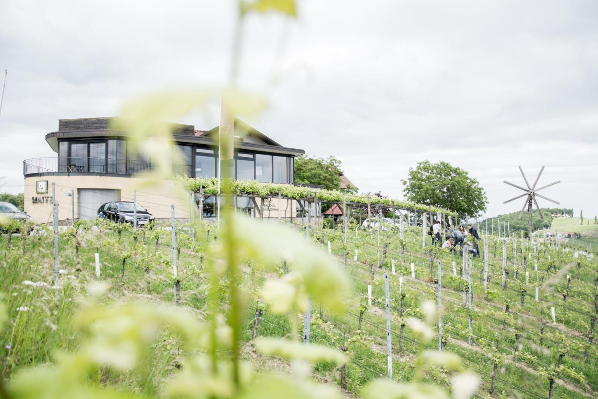 Weinhotel Maitz Wolfgang