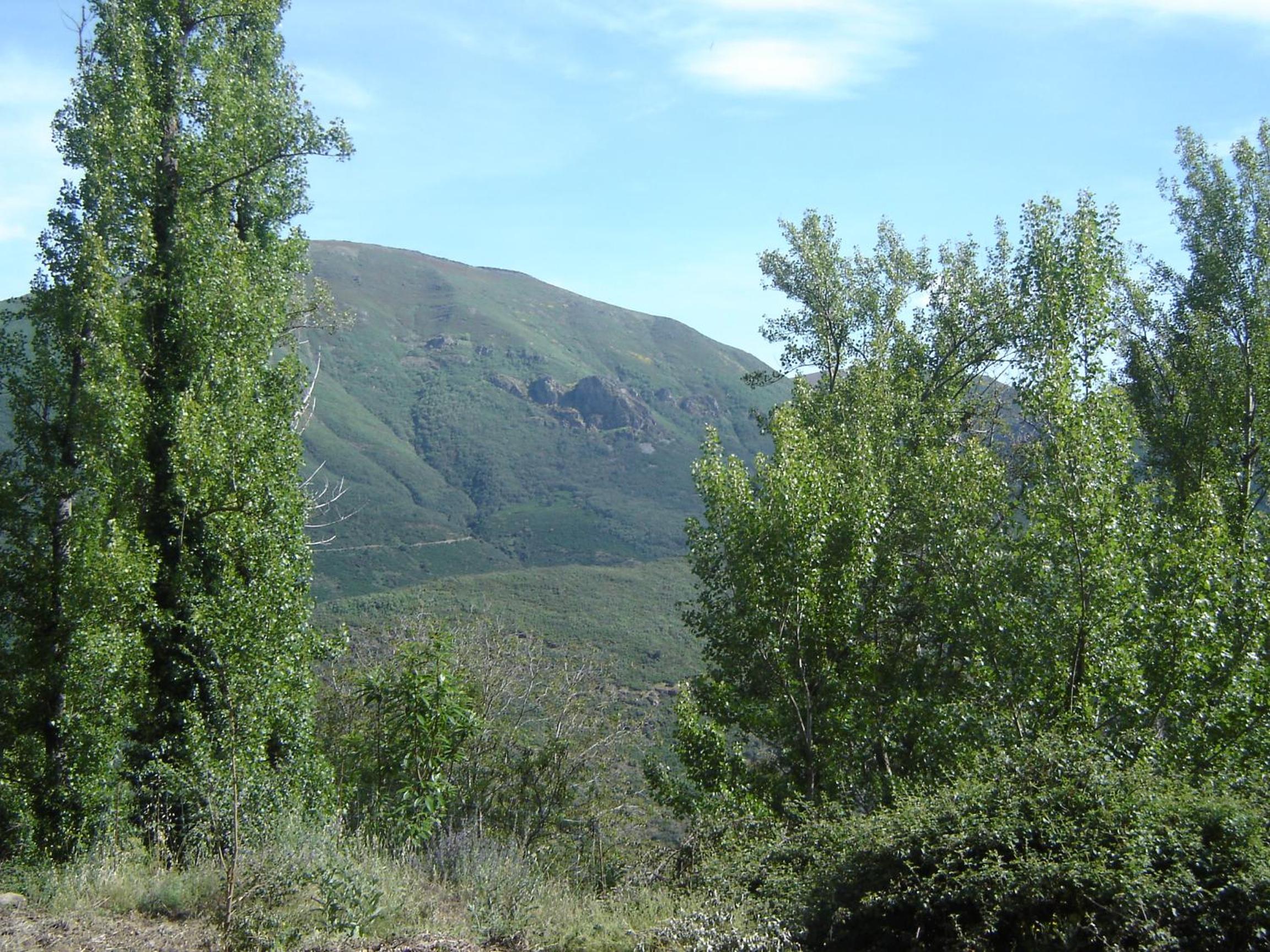 Photo 26