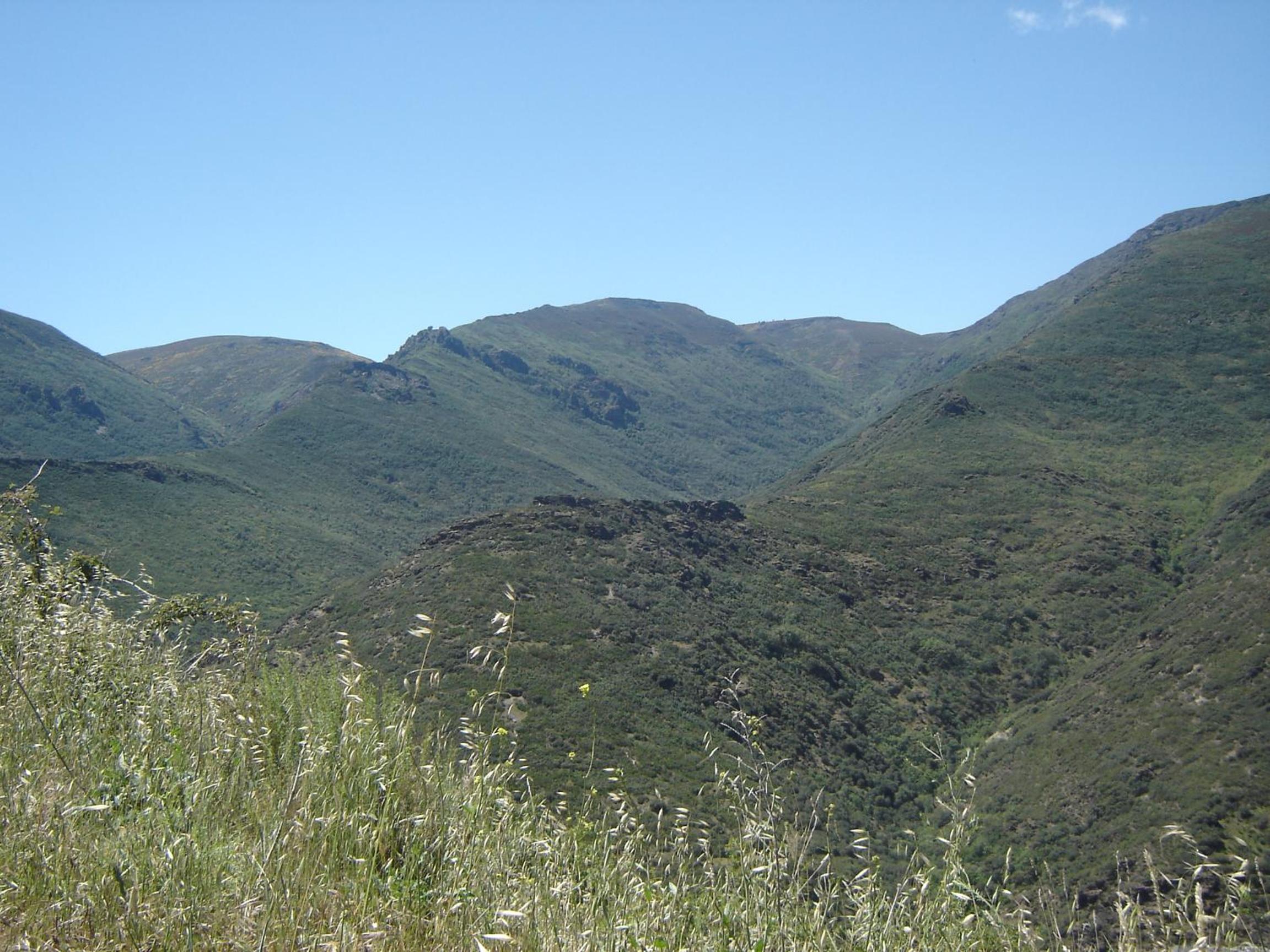 Photo 36