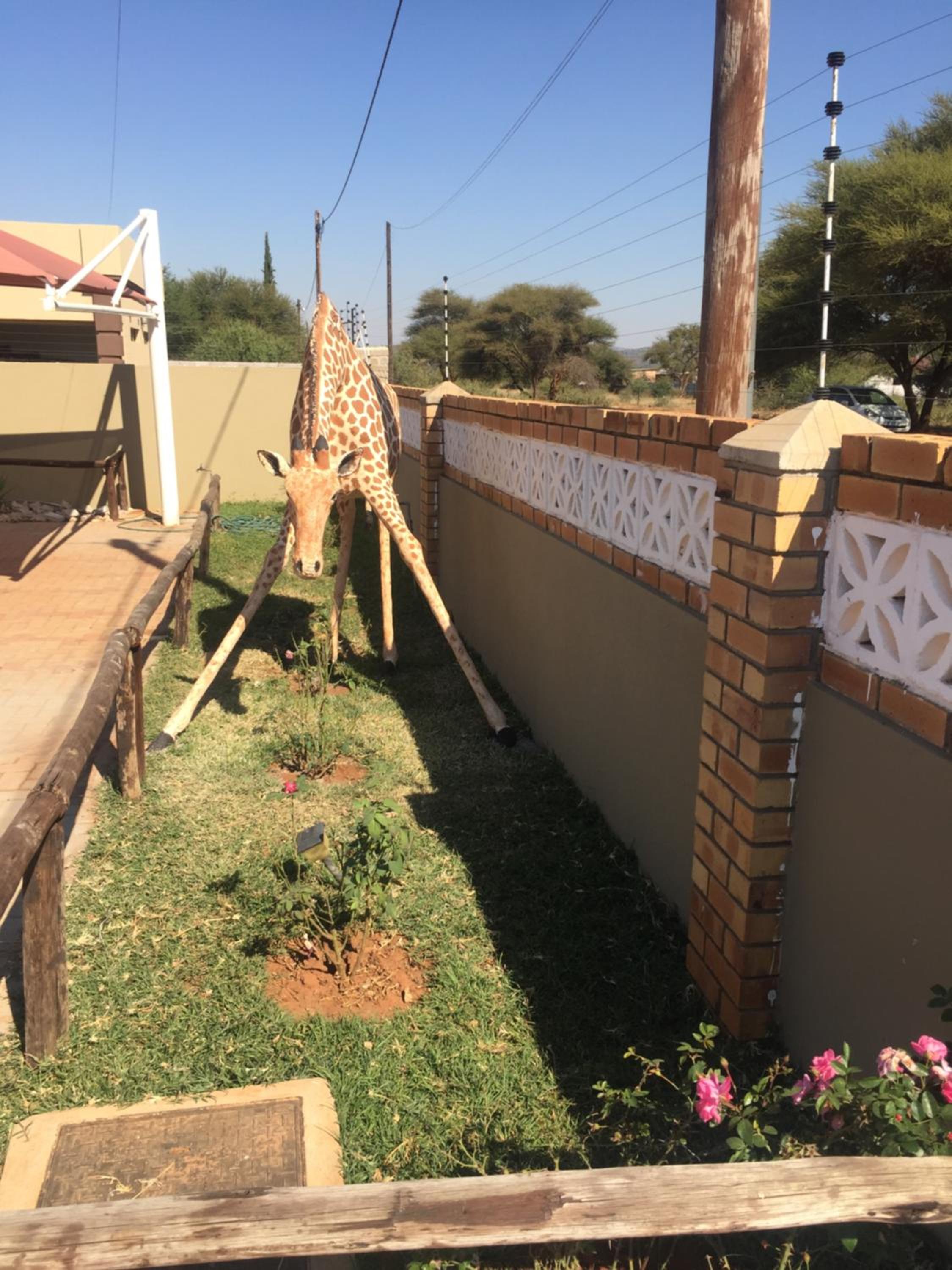 Overflow Guest House
