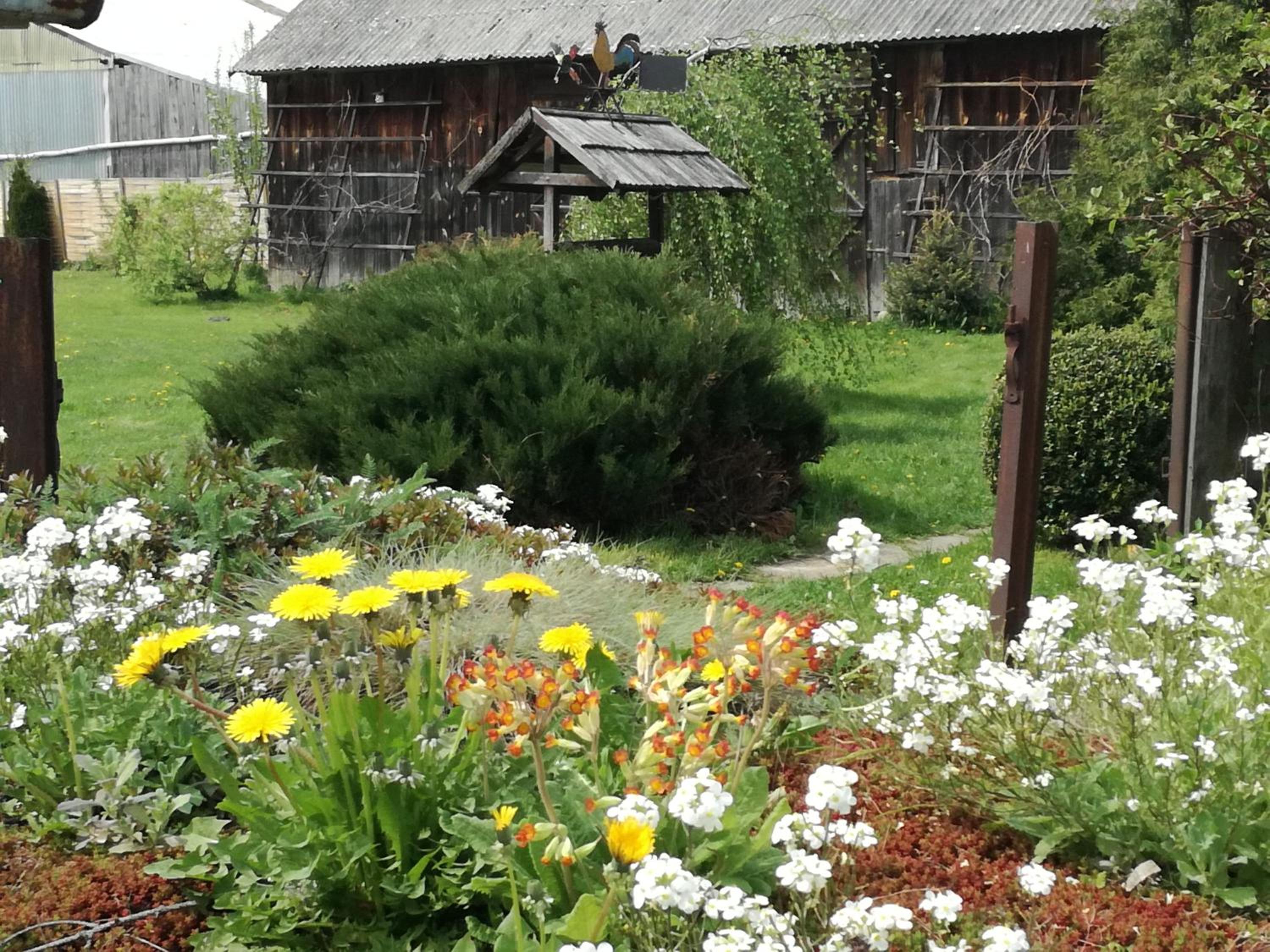 Photo 21