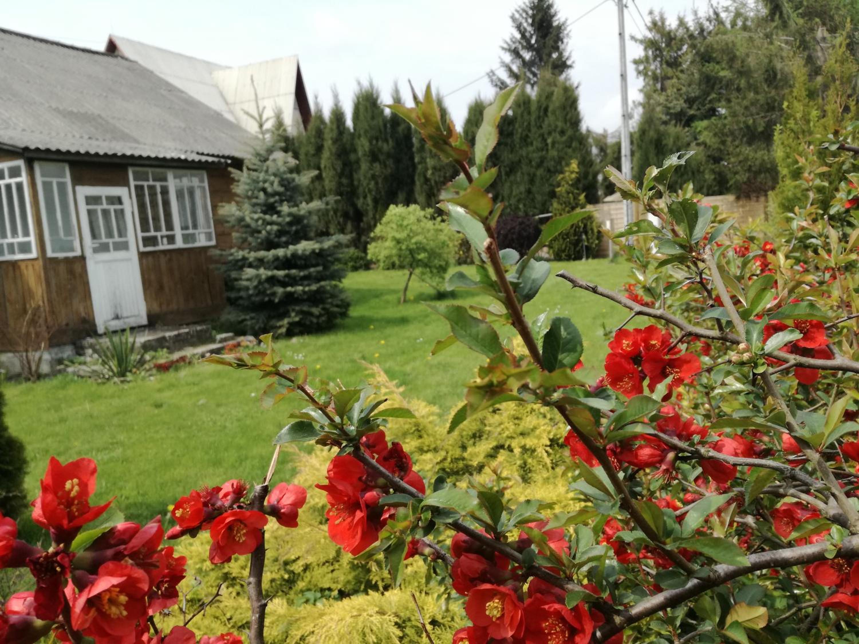 Photo 16