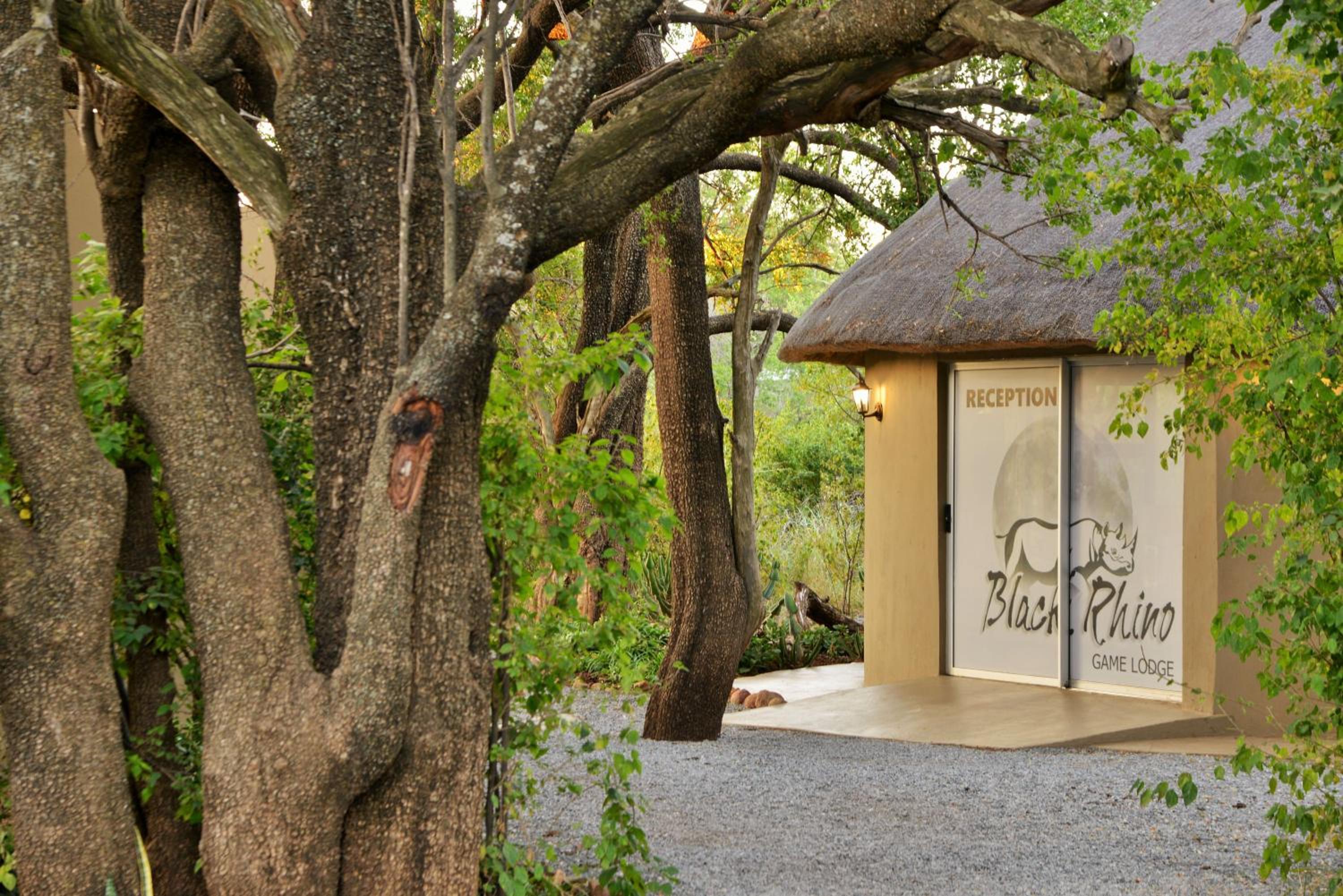 Black Rhino Game Lodge view 5