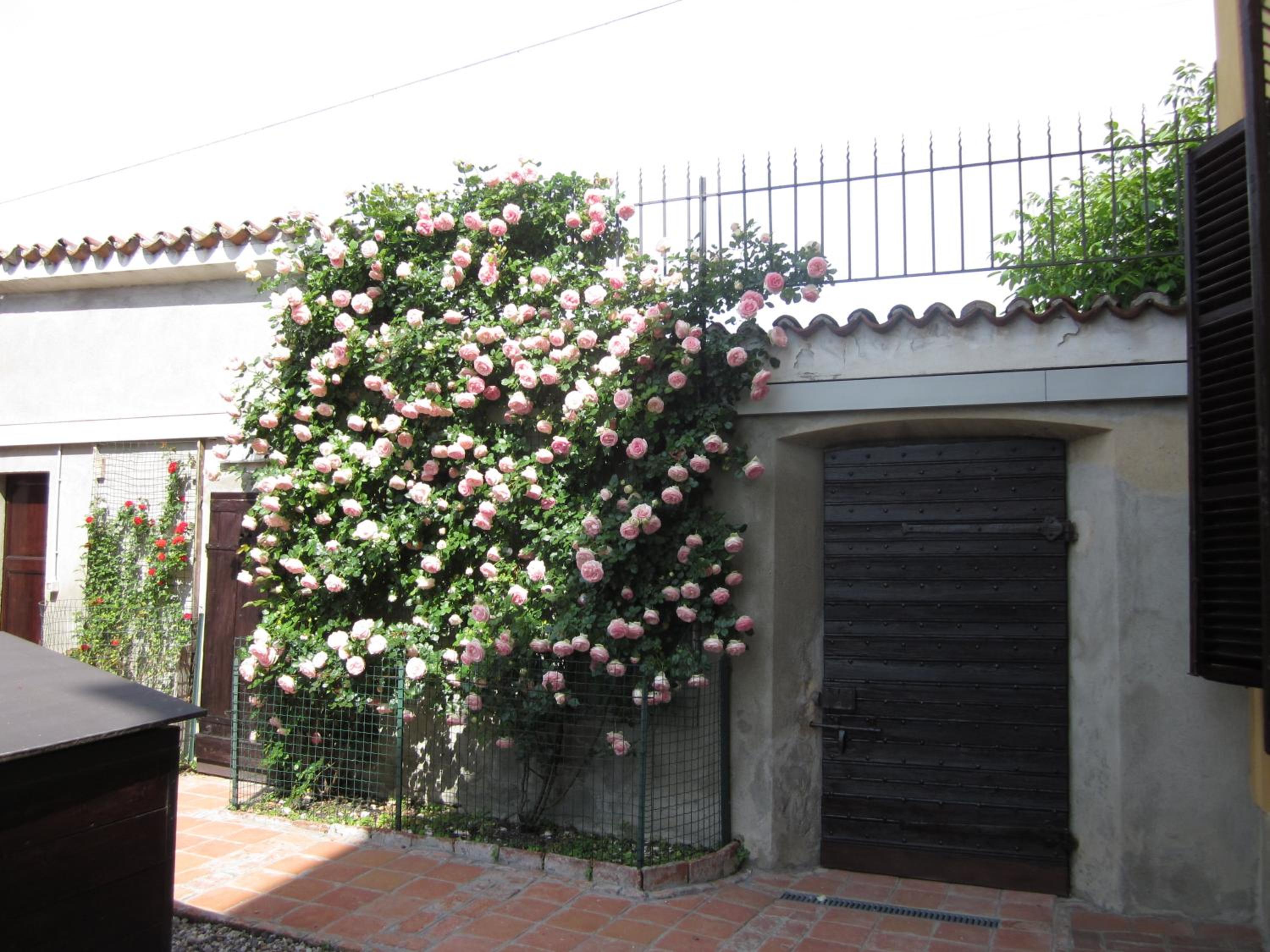 Photo 31