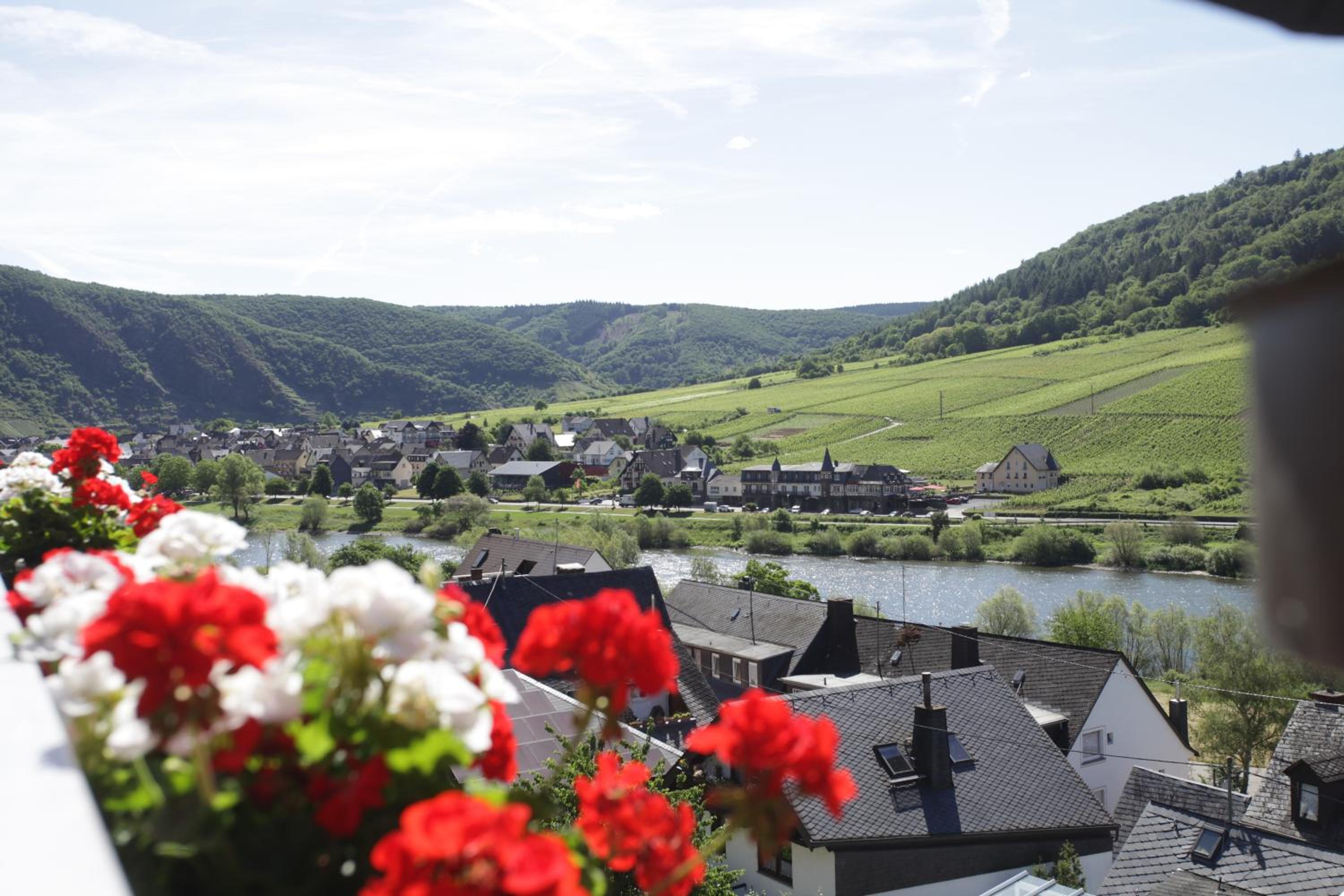 Ferienwohnung Moselblick-Stein