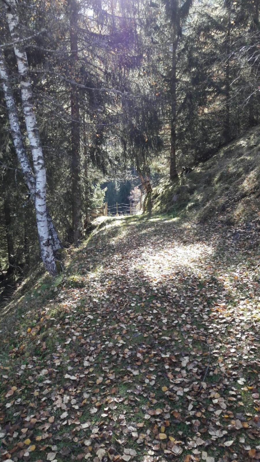 Haus Alpenquell