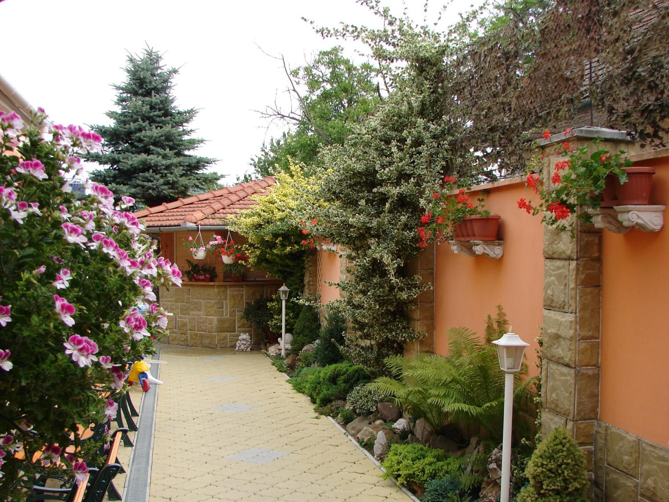Photo 9
