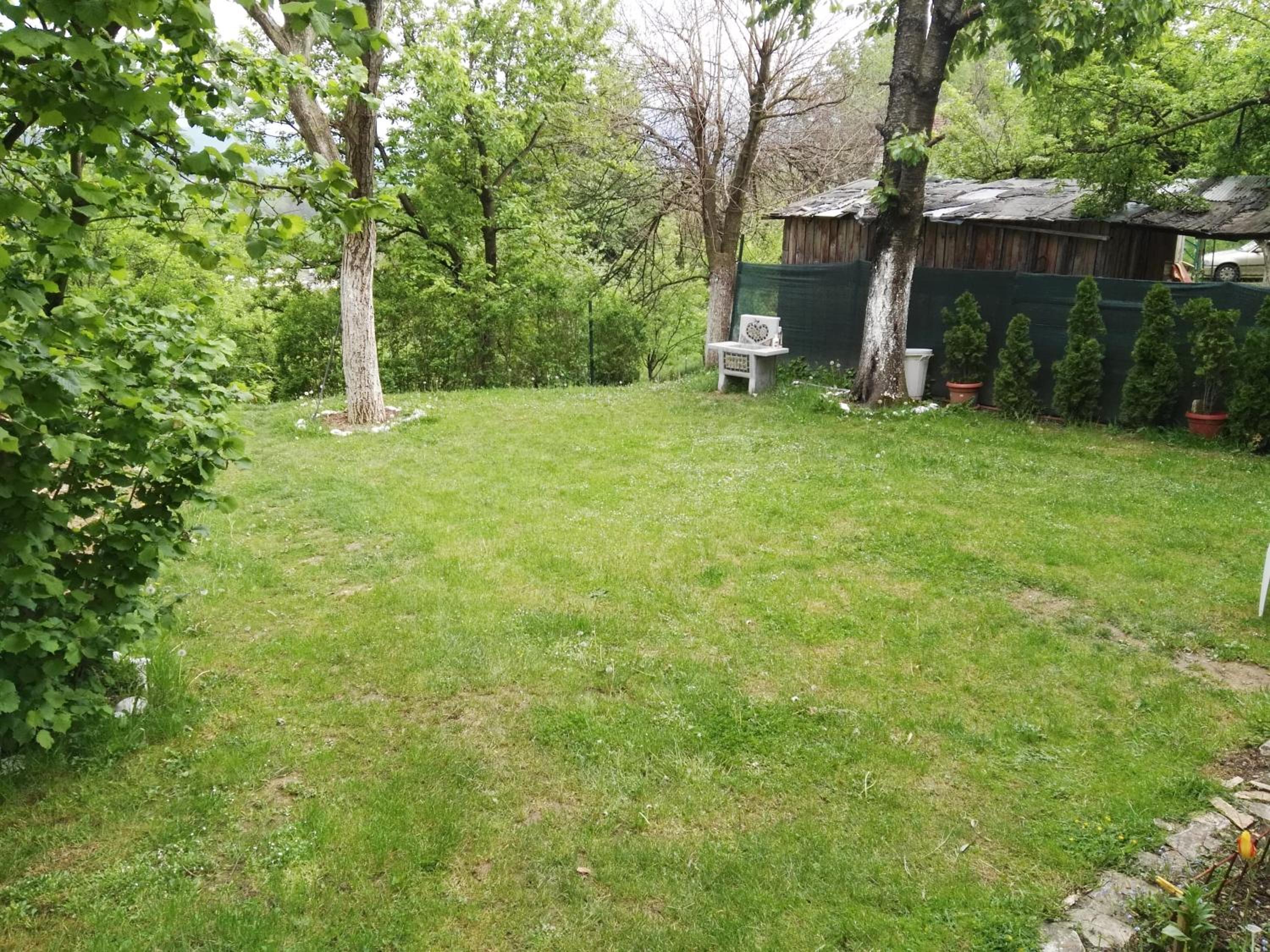 Photo 37